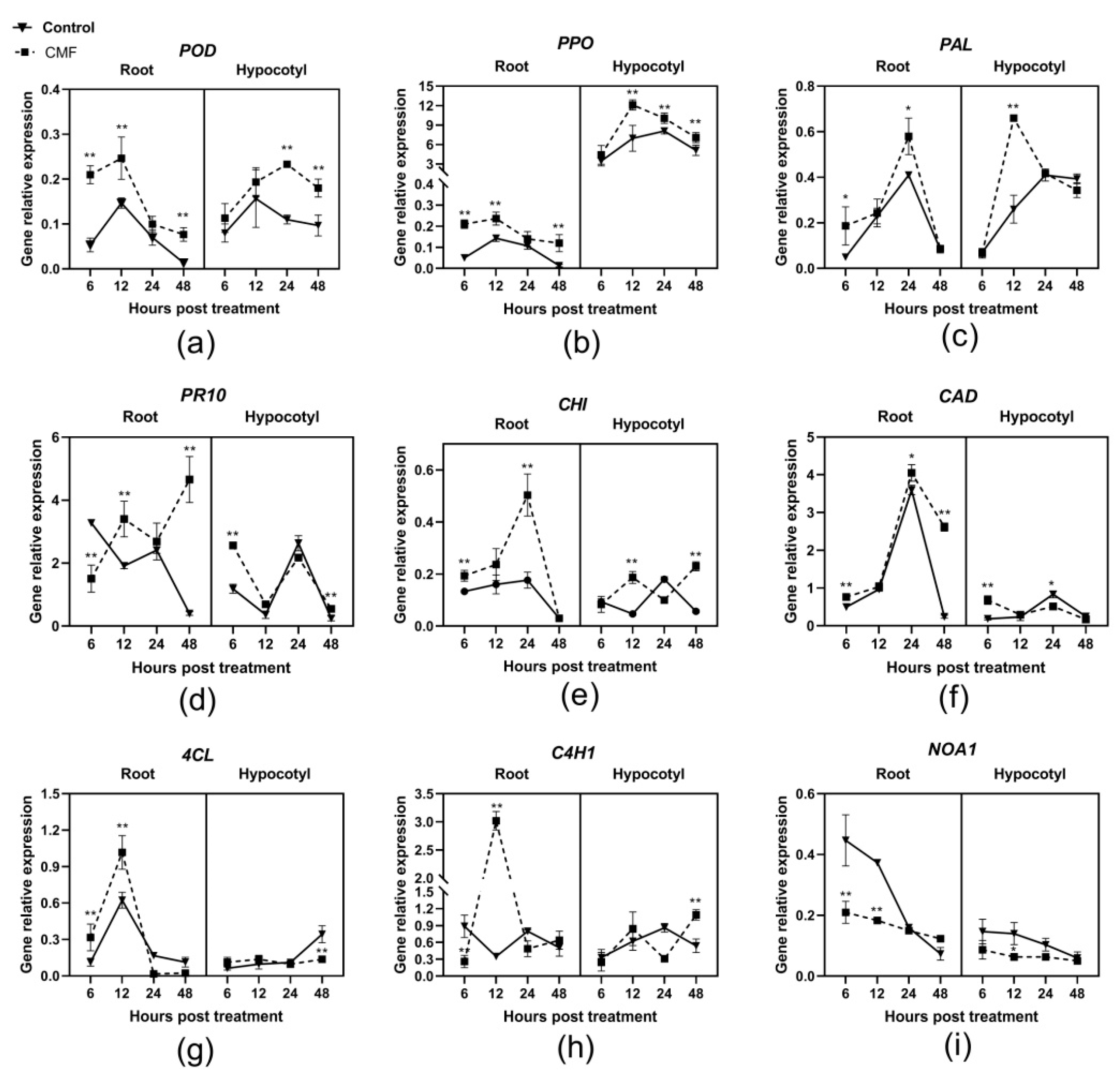 Pathogens 10 00081 g004 Pathogens 10 00081 g004
