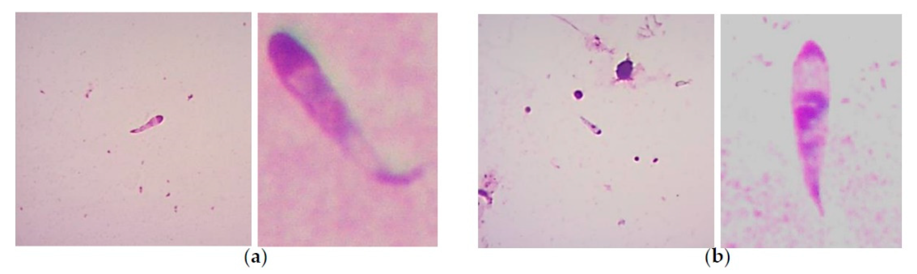 Pathogens 10 00092 g002