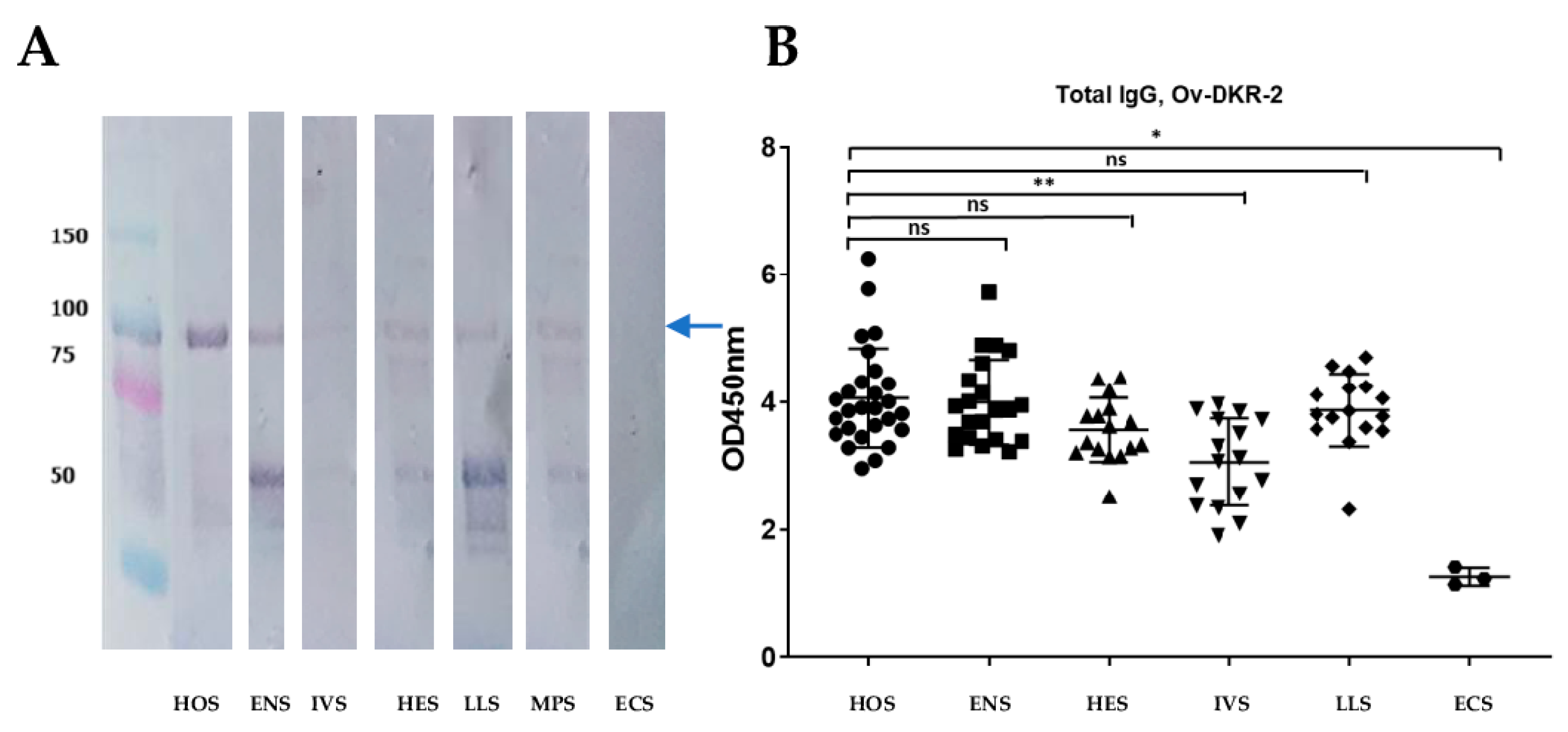 Pathogens 10 00099 g008