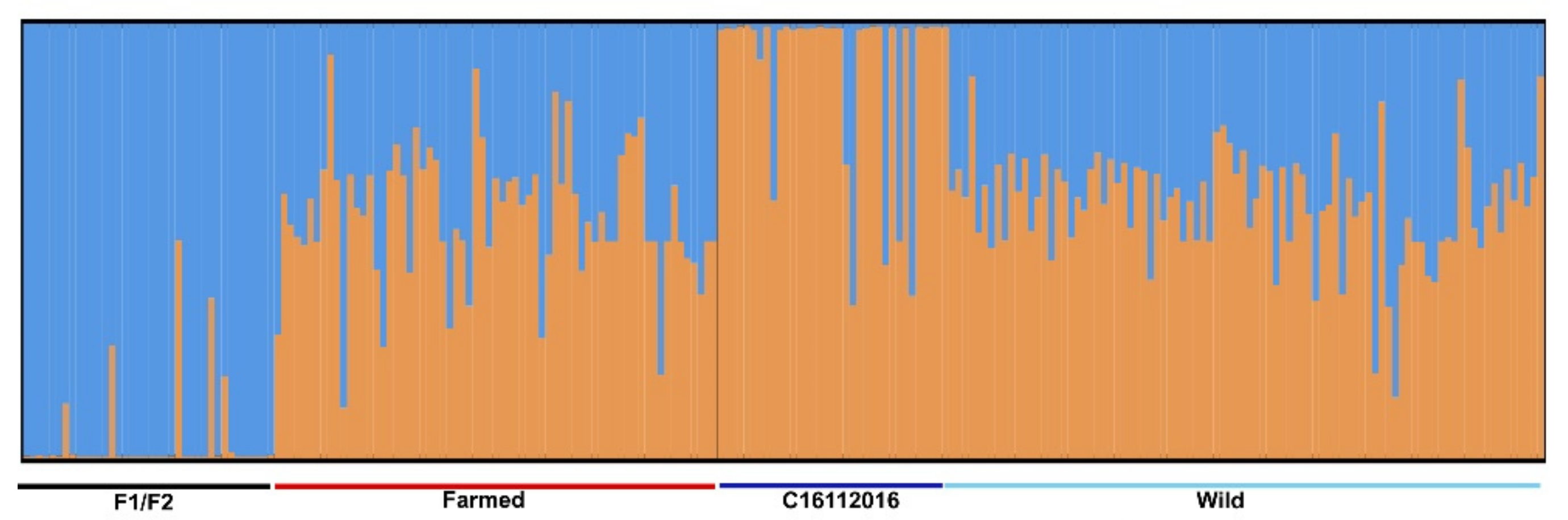 Pathogens 10 00100 g001
