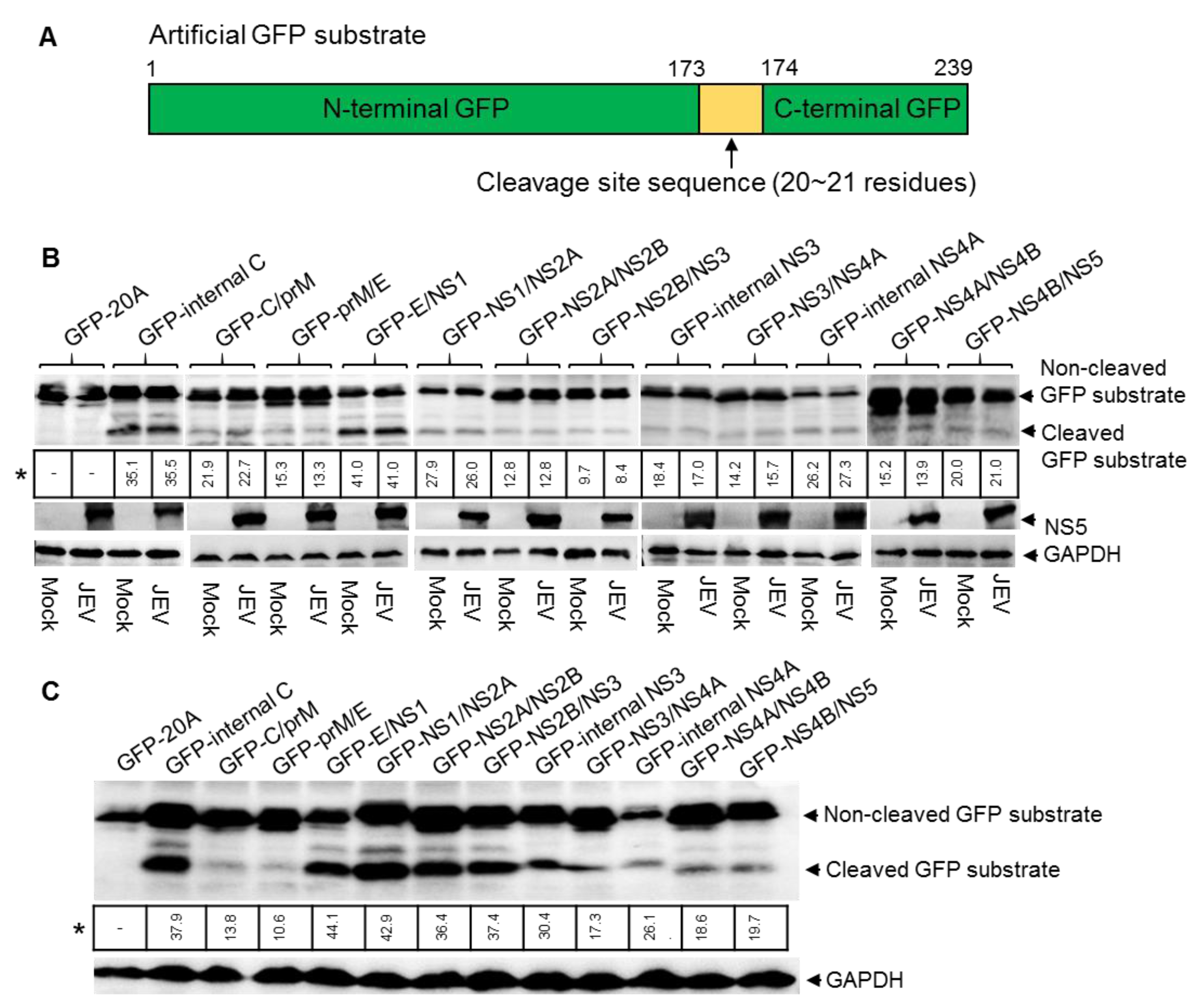 Pathogens 10 00102 g002 Pathogens 10 00102 g002