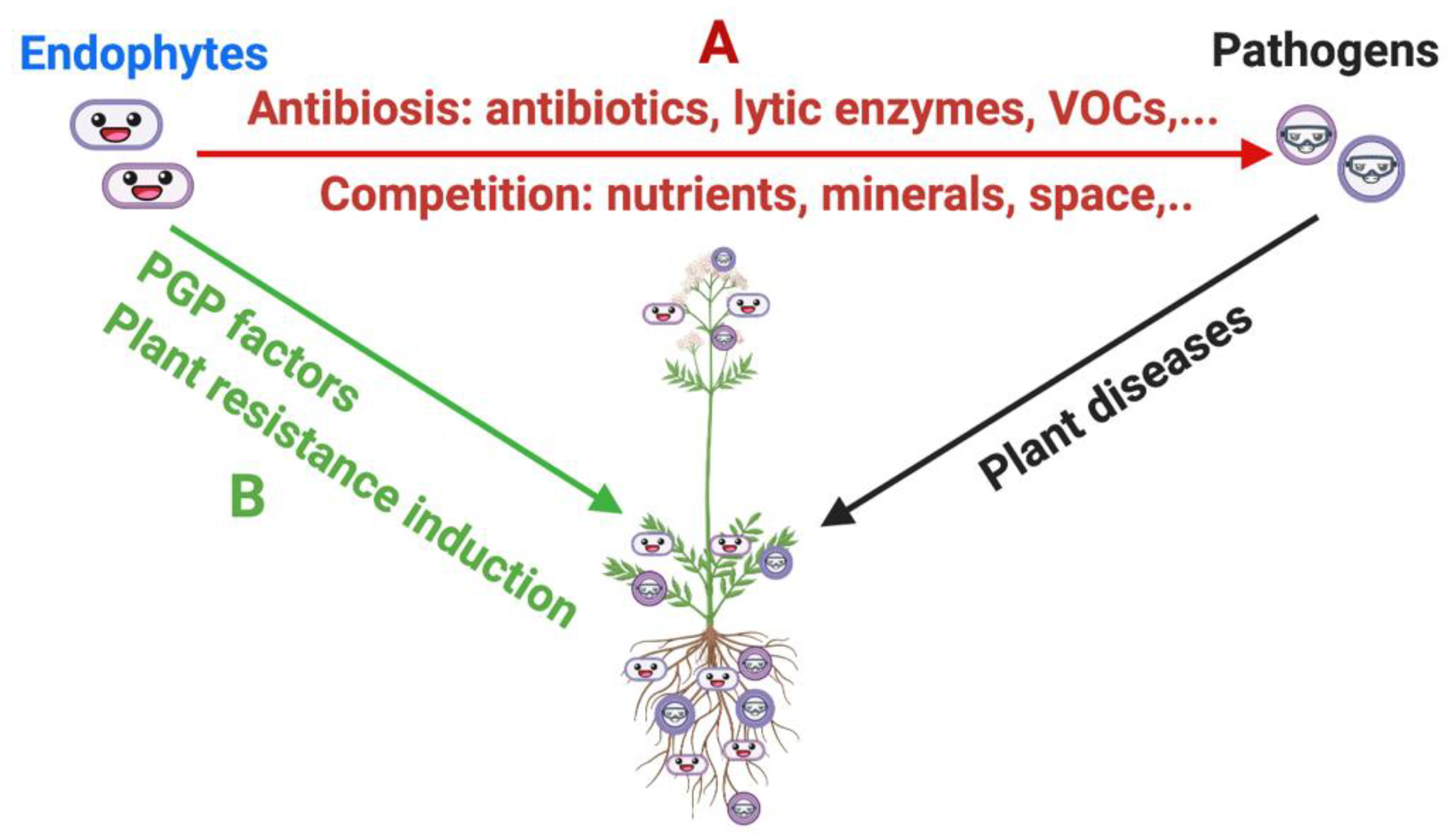 Pathogens 10 00106 g001 Pathogens 10 00106 g001