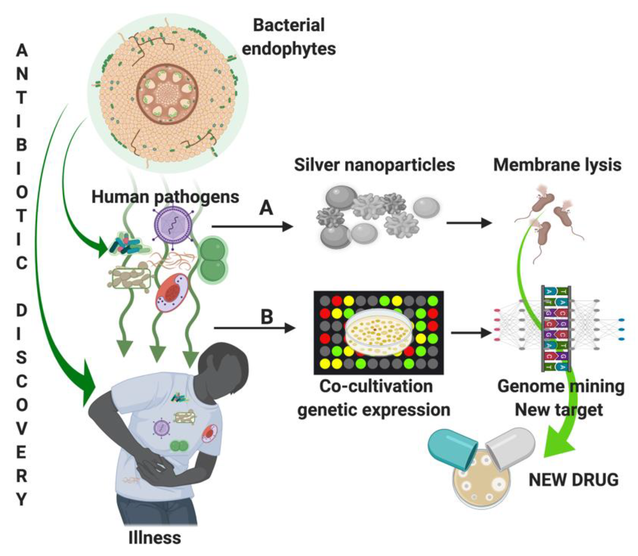 Pathogens 10 00106 g002 Pathogens 10 00106 g002