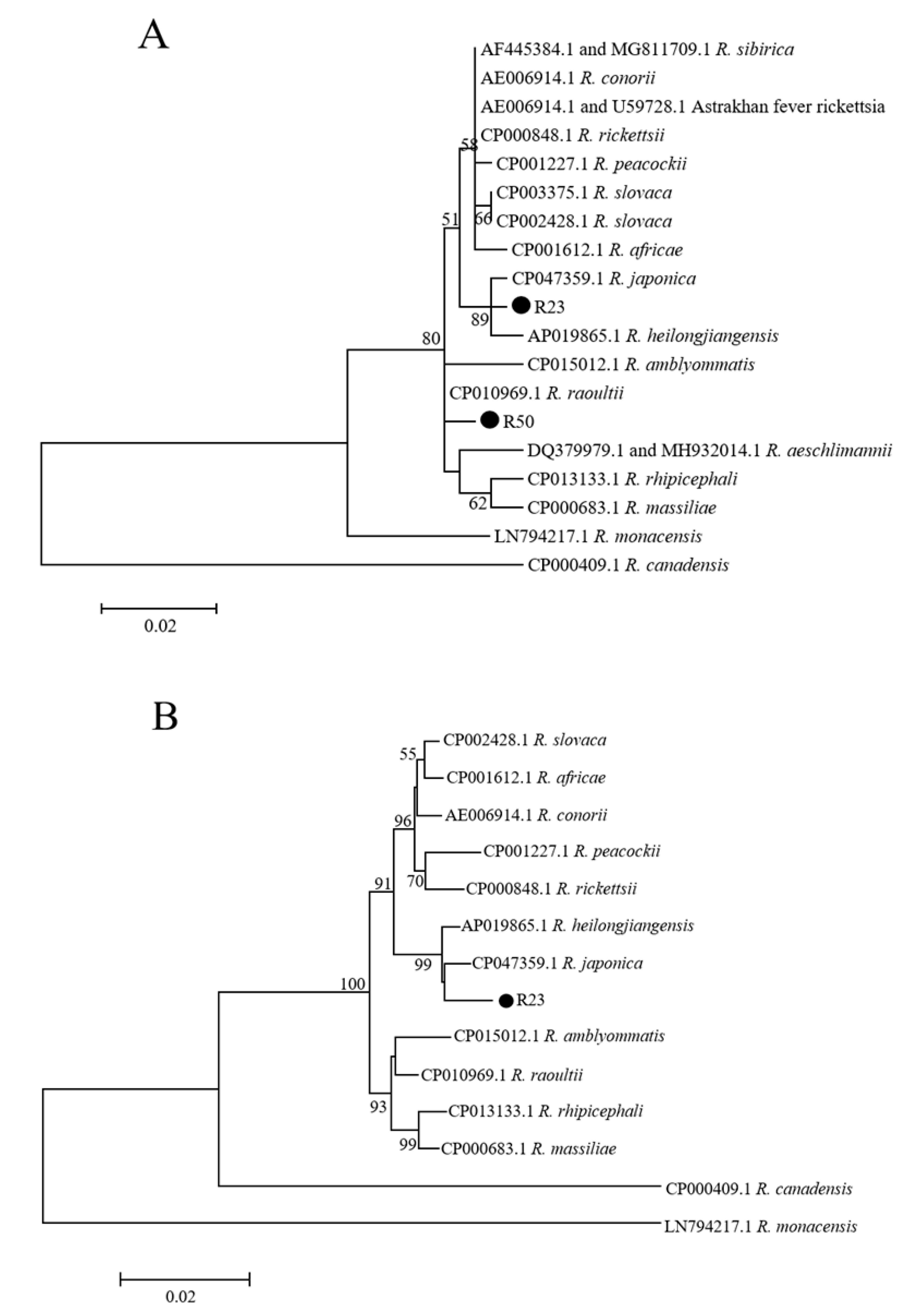 Pathogens 10 00115 g001