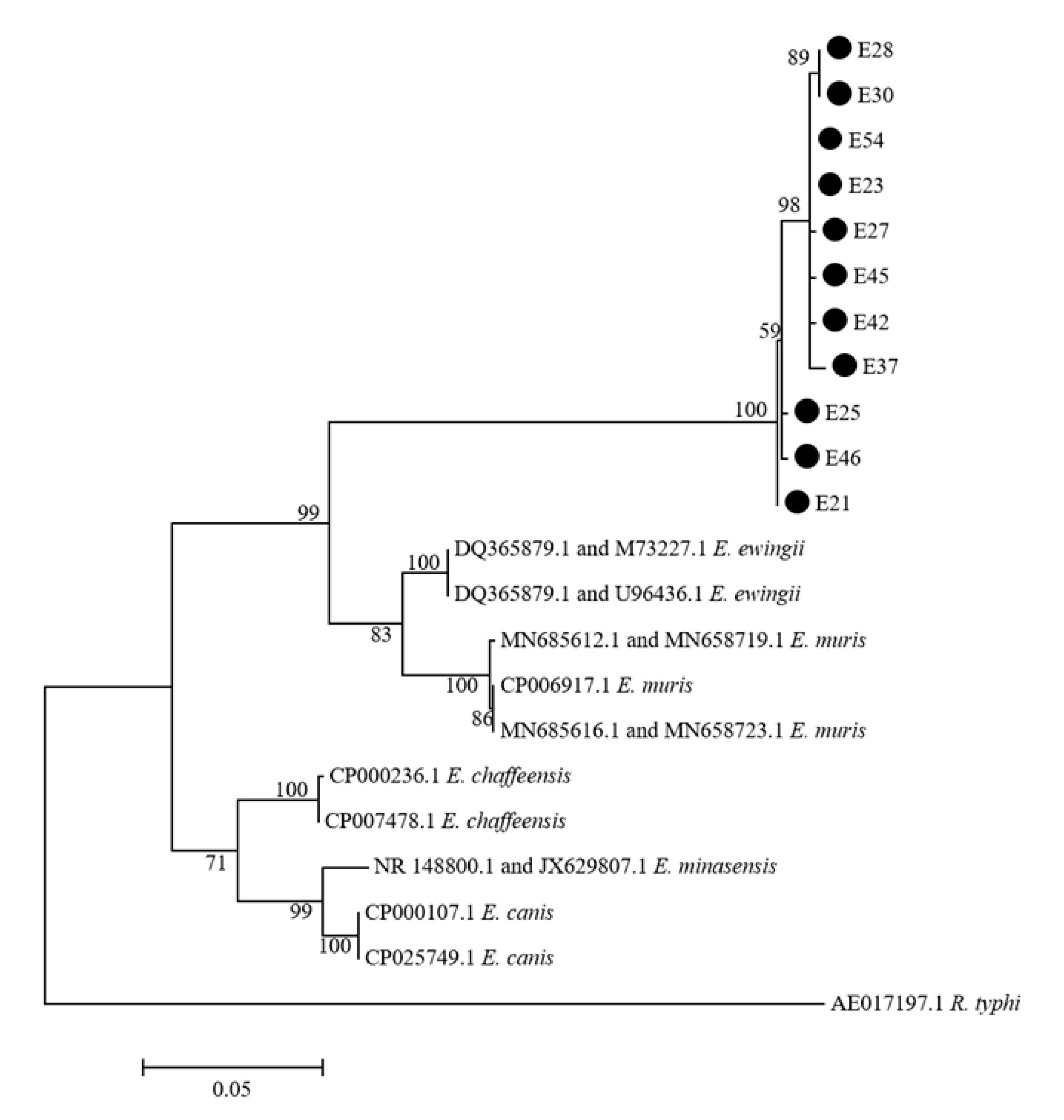 Pathogens 10 00115 g002