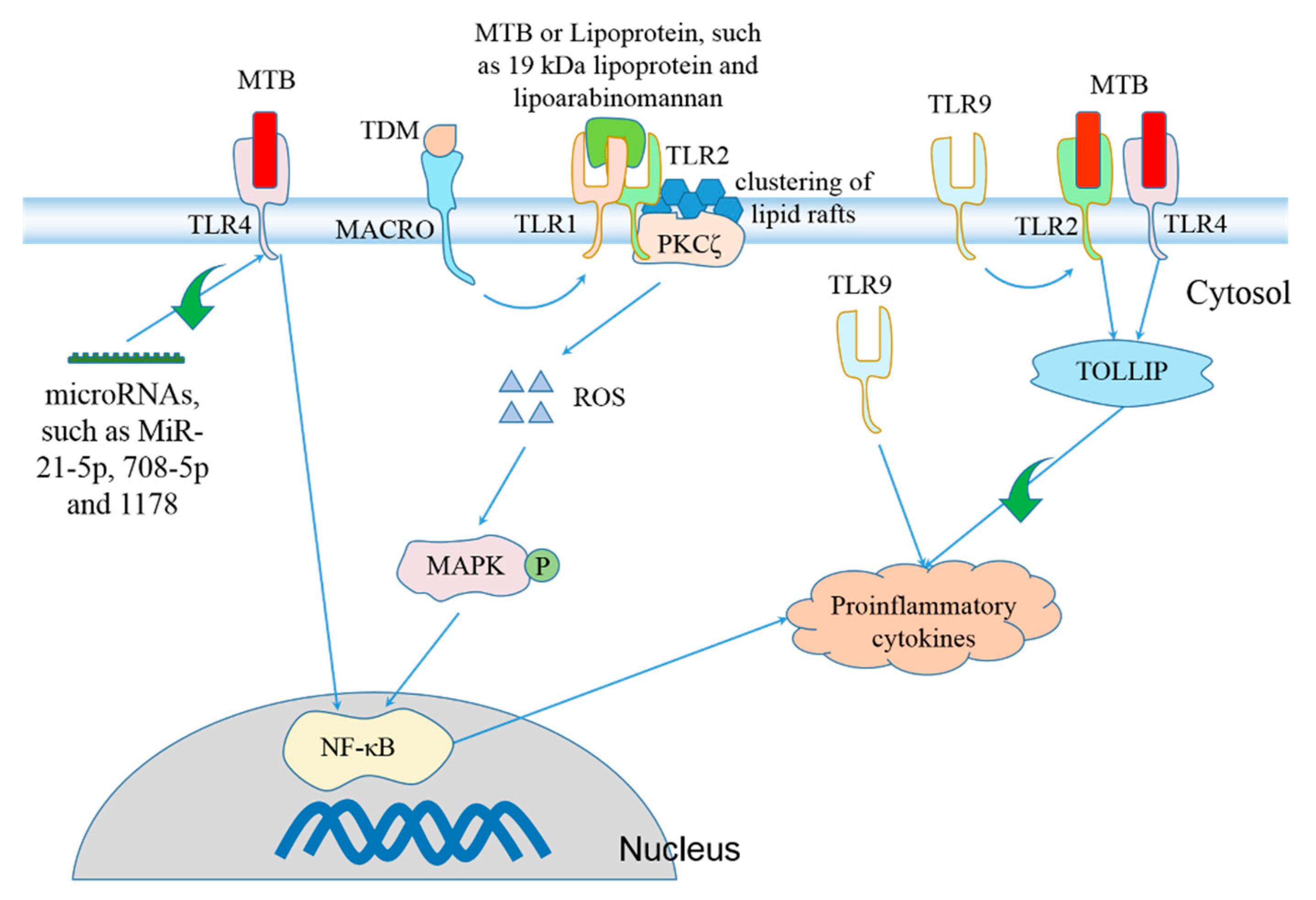 Pathogens 10 00120 g001