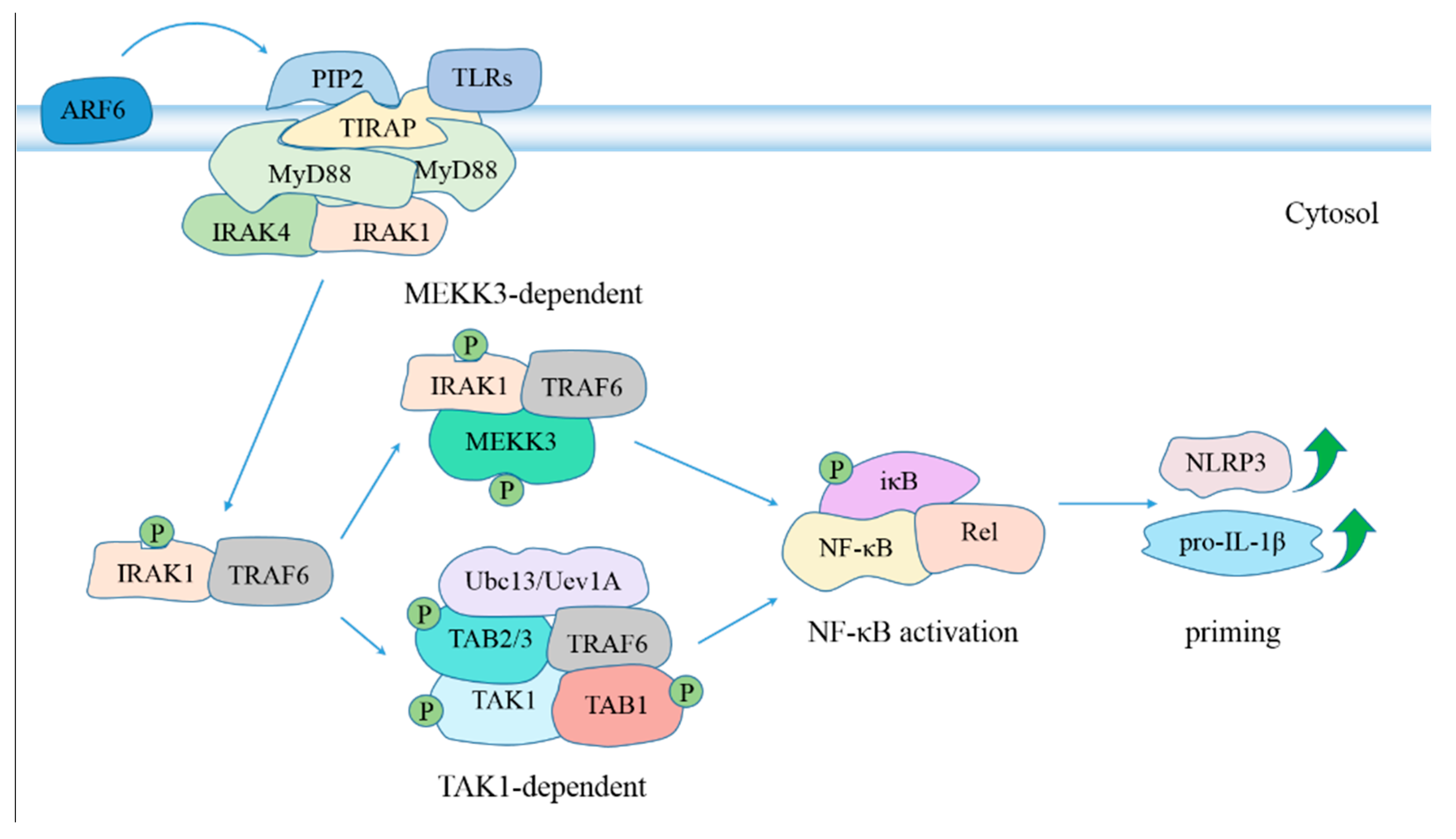 Pathogens 10 00120 g002