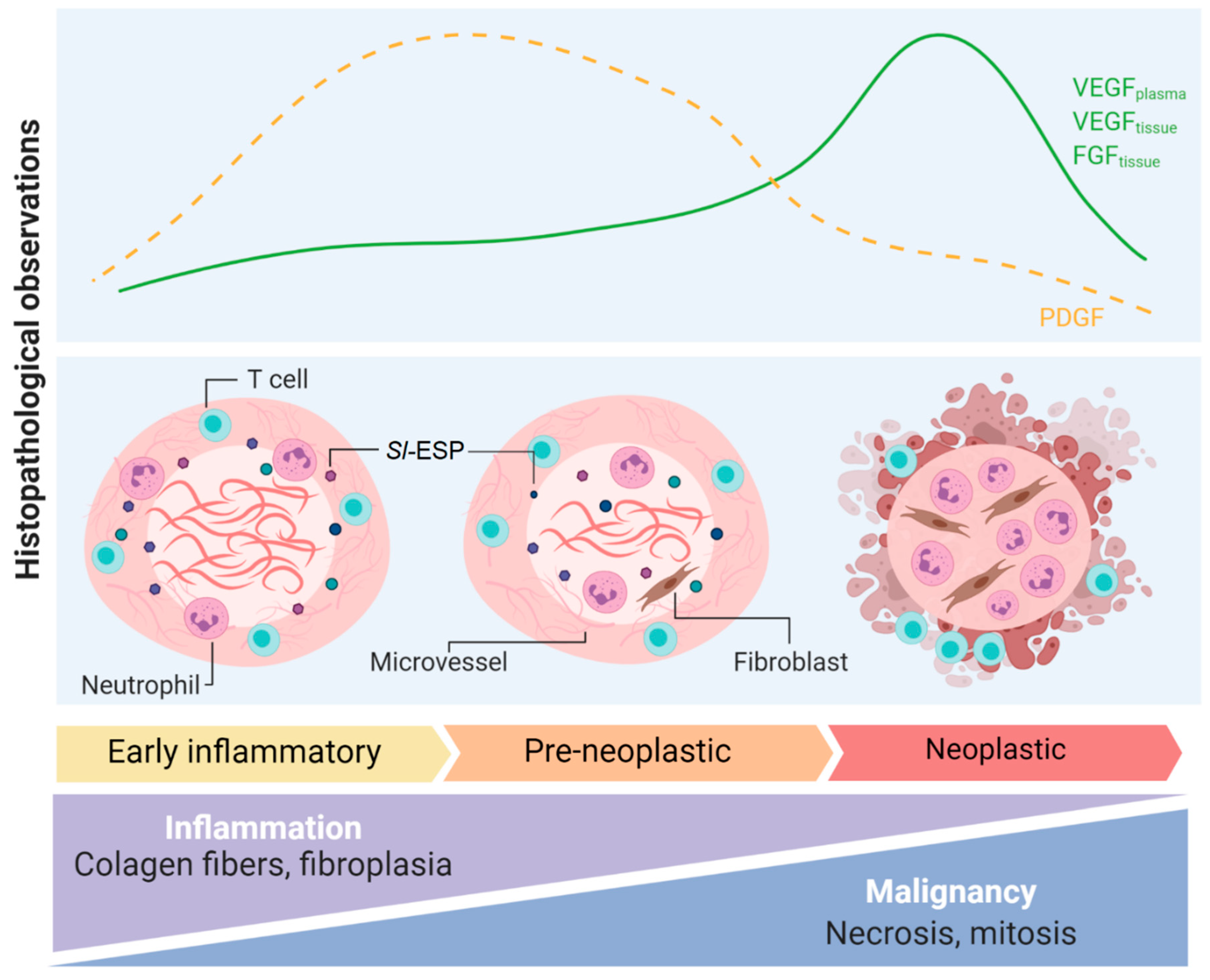 Pathogens 10 00124 g001