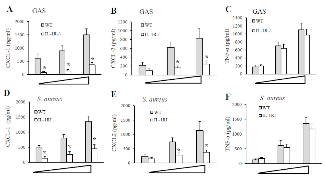 Pathogens 10 00132 g004 Pathogens 10 00132 g004