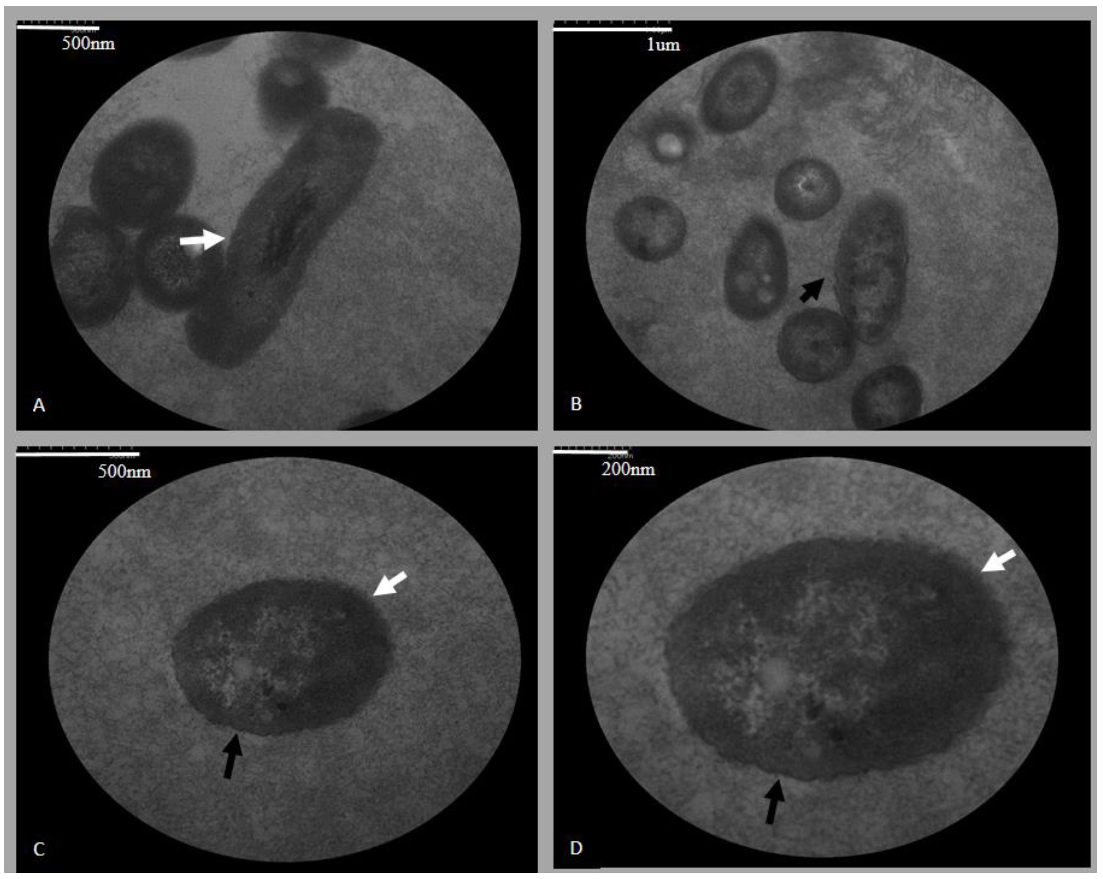 Pathogens 10 00141 g001 Pathogens 10 00141 g001
