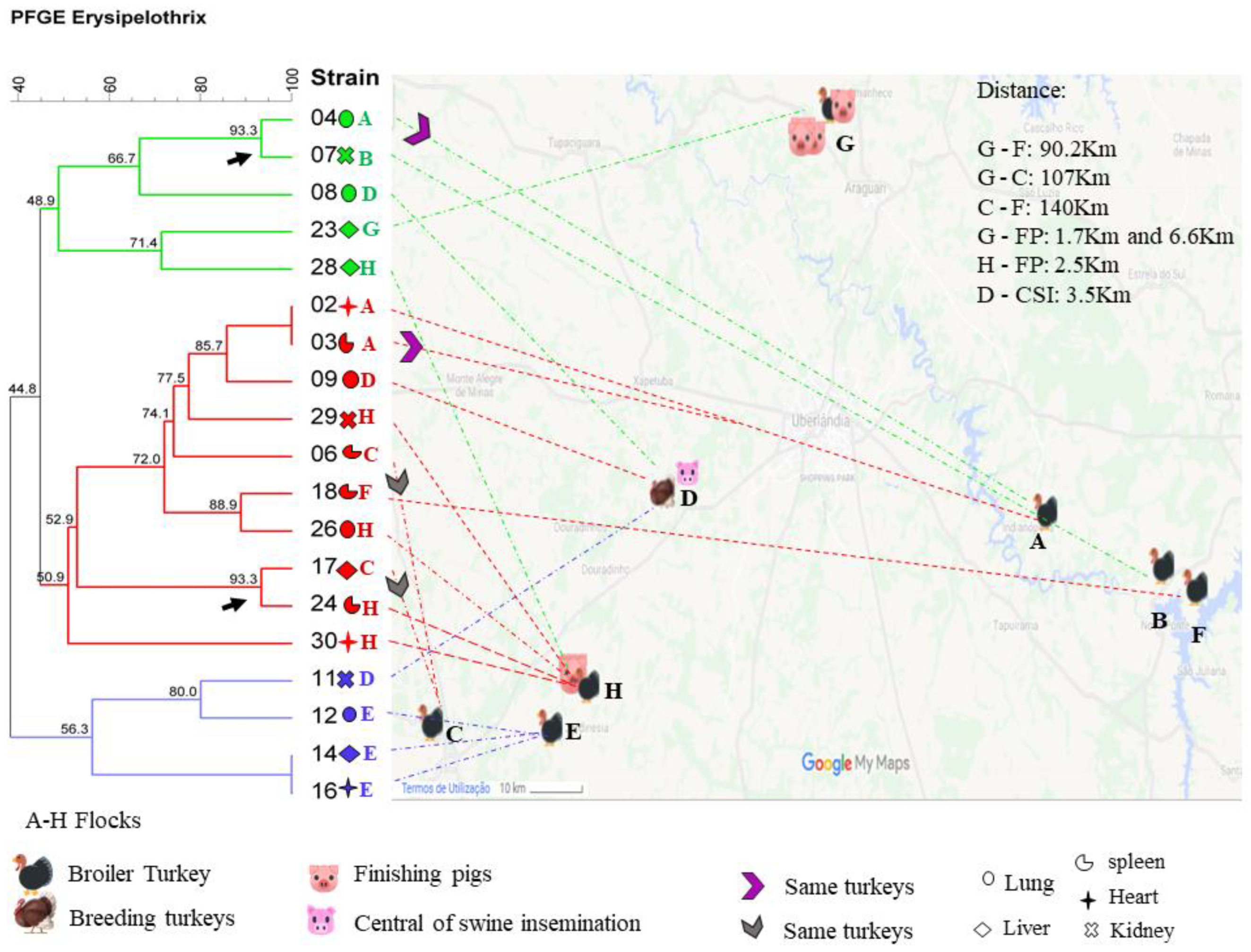 Pathogens 10 00141 g002 Pathogens 10 00141 g002