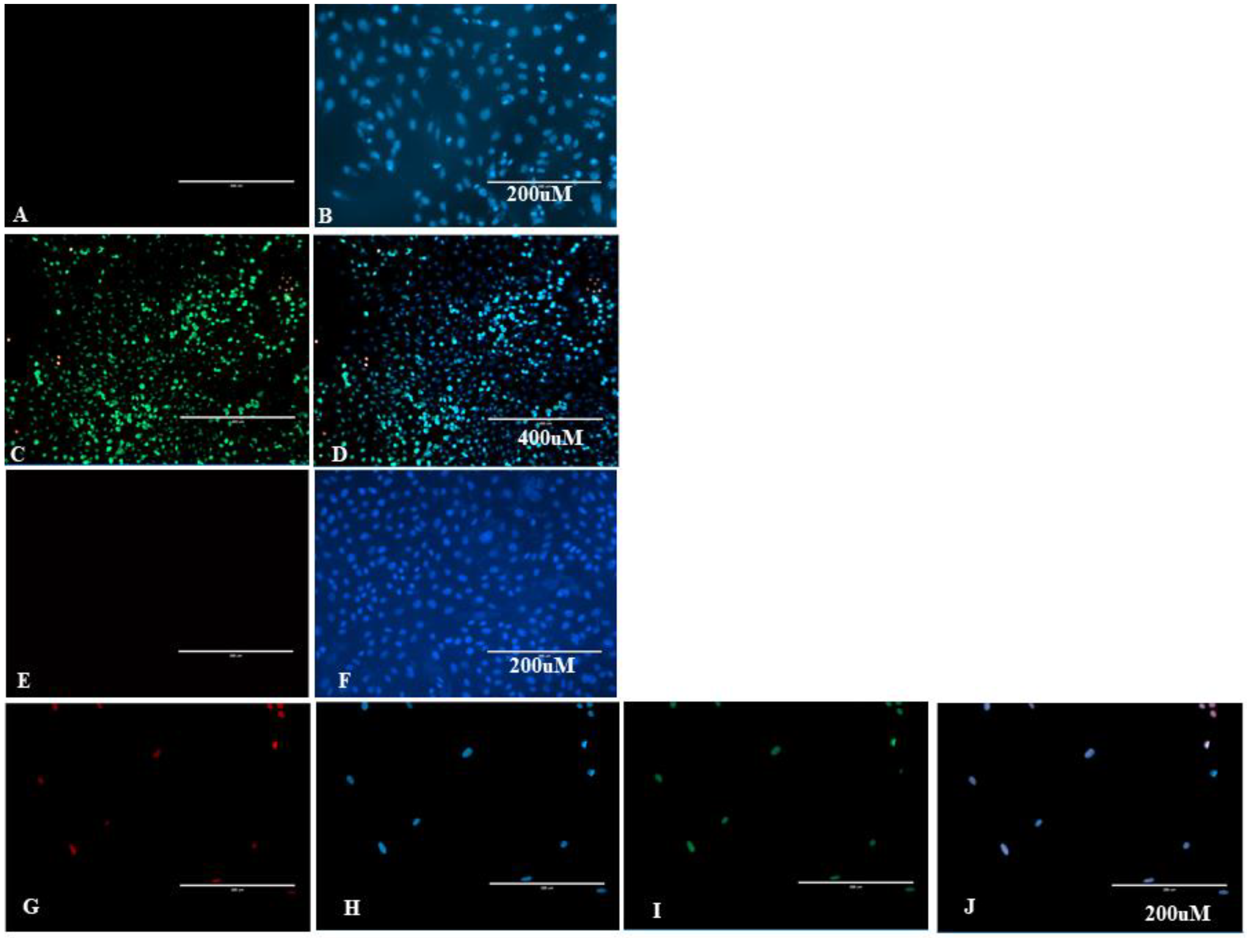 Pathogens 10 00141 g006 Pathogens 10 00141 g006