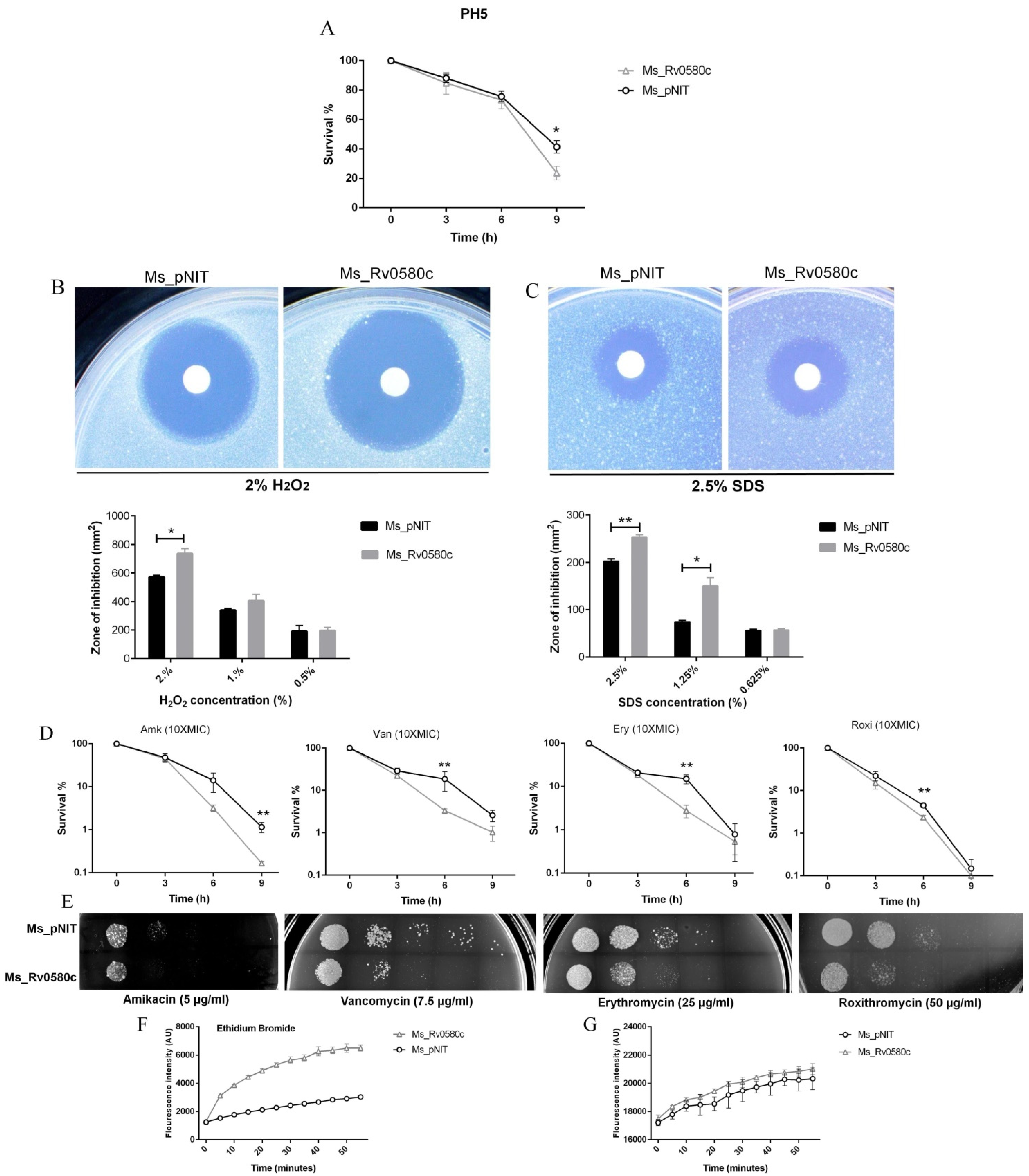Pathogens 10 00143 g003