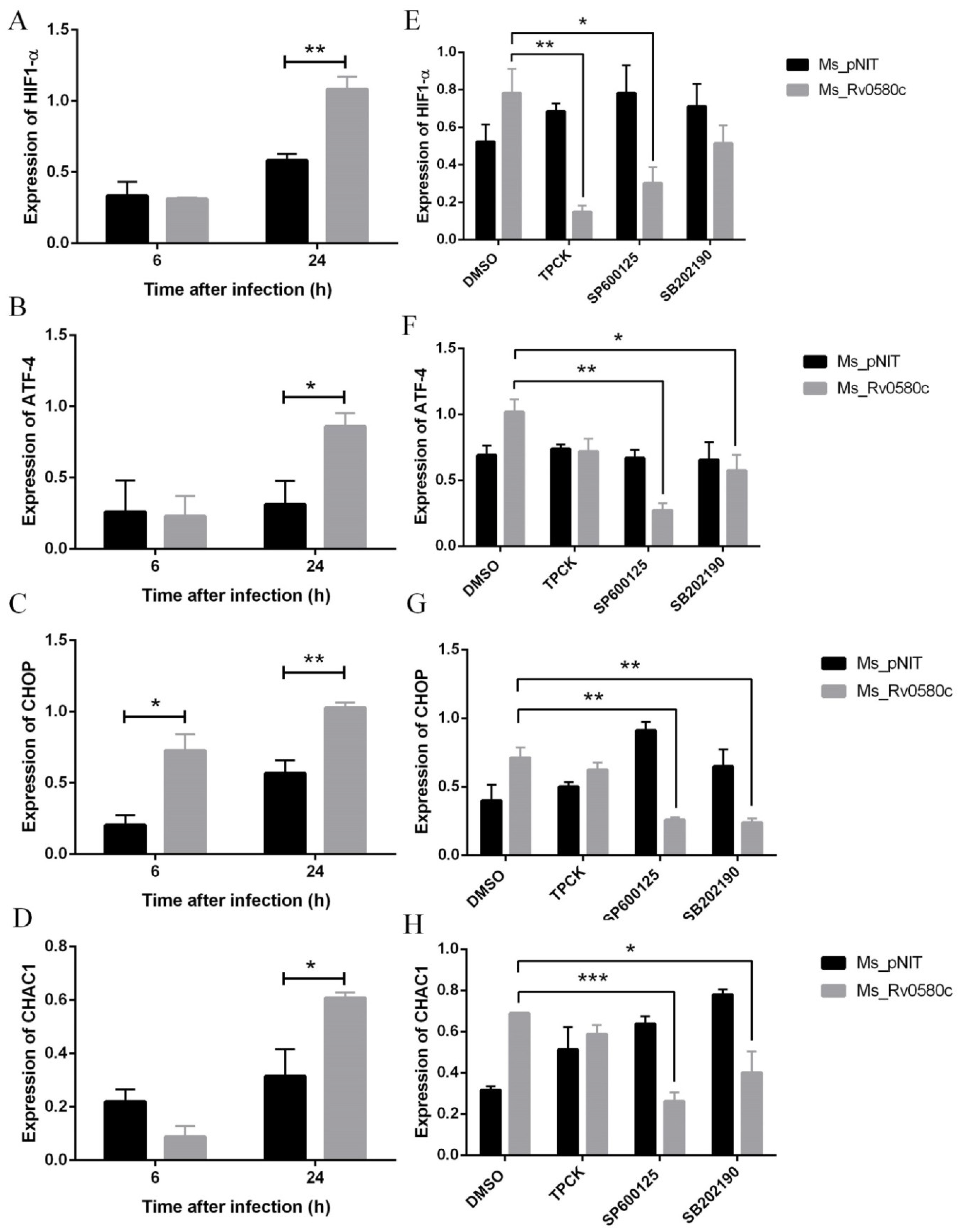 Pathogens 10 00143 g005