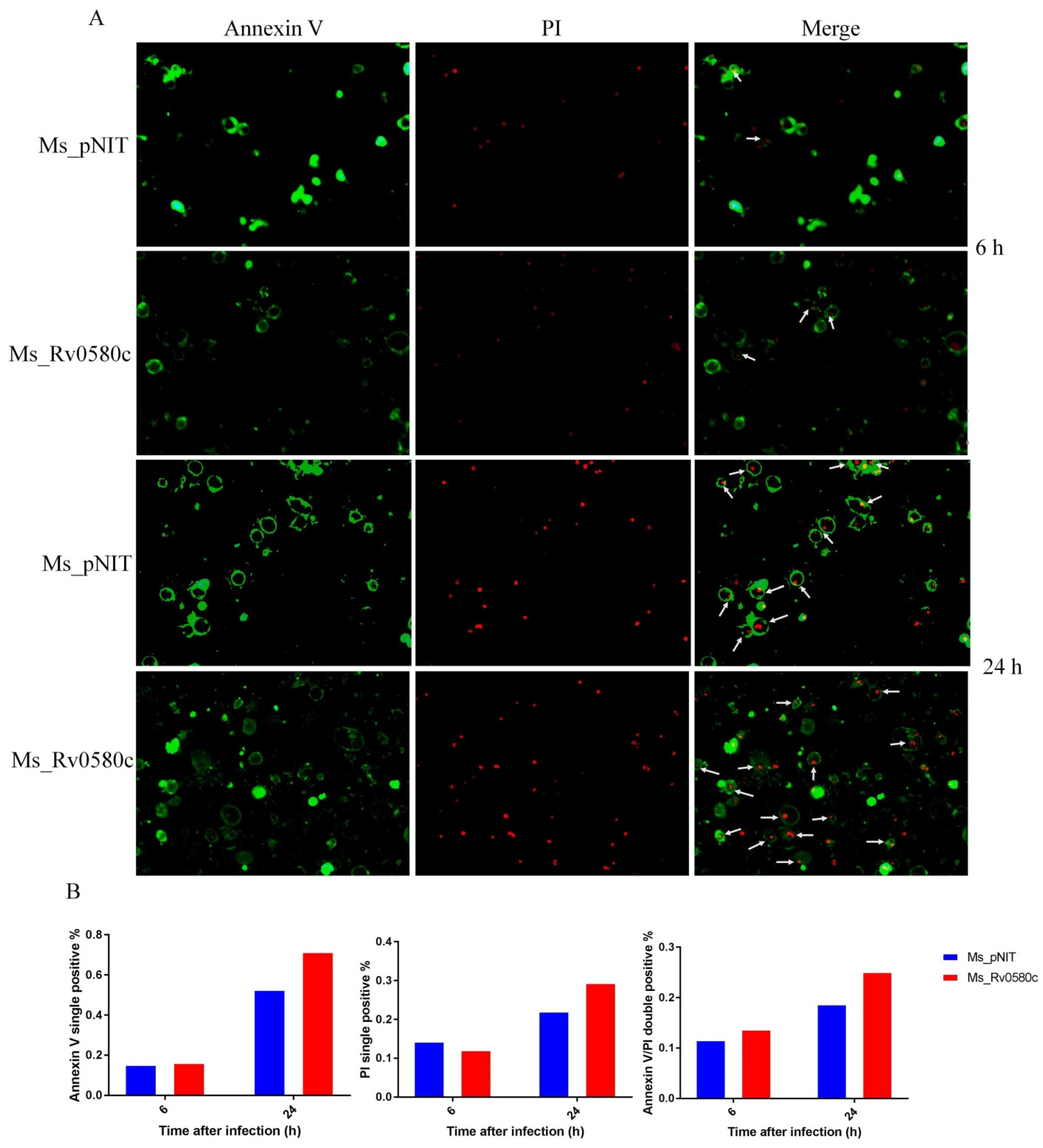 Pathogens 10 00143 g006