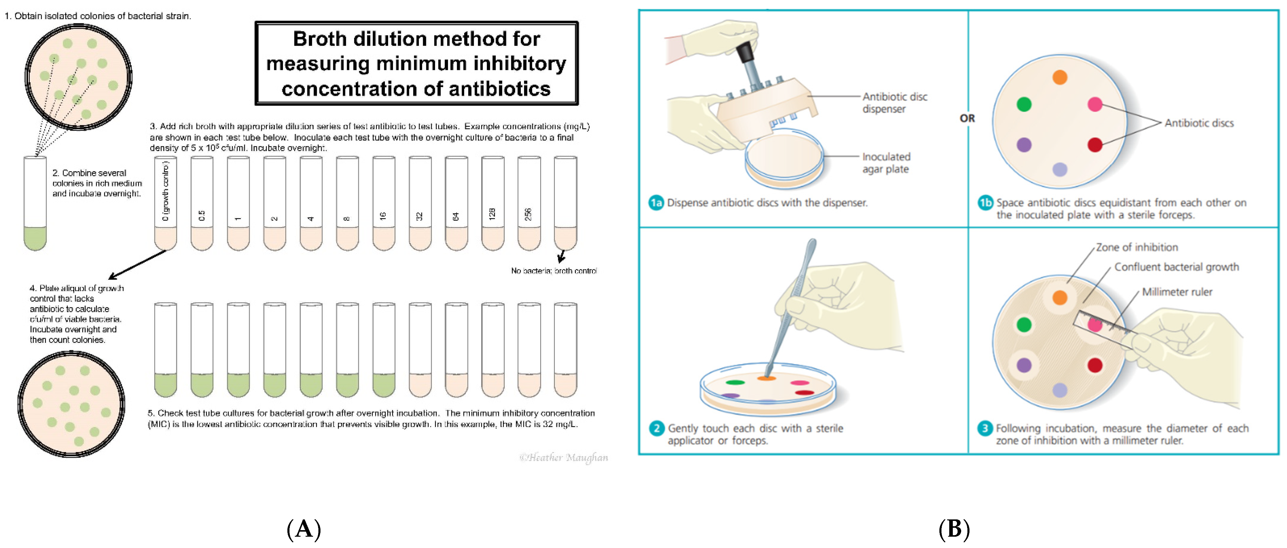 Pathogens 10 00144 g001 Pathogens 10 00144 g001