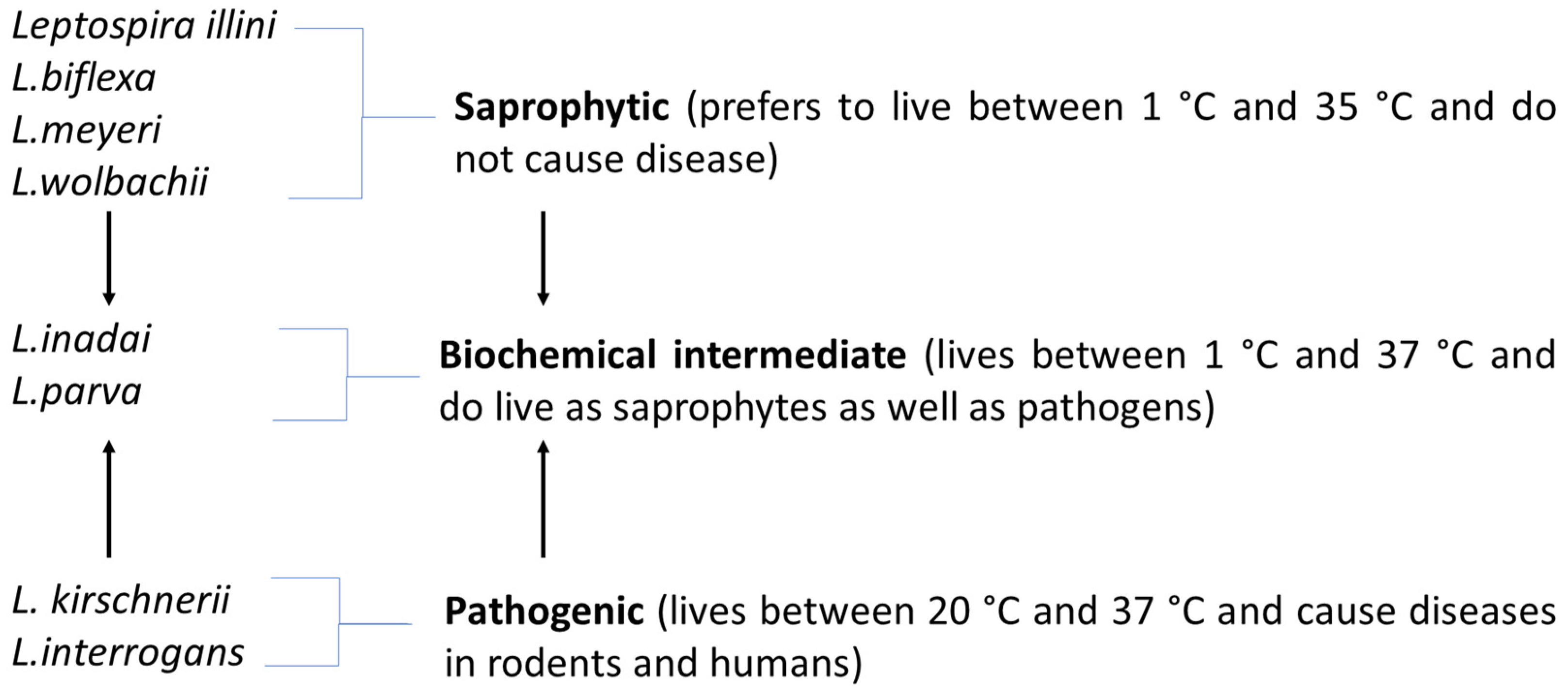 Pathogens 10 00145 g001 Pathogens 10 00145 g001