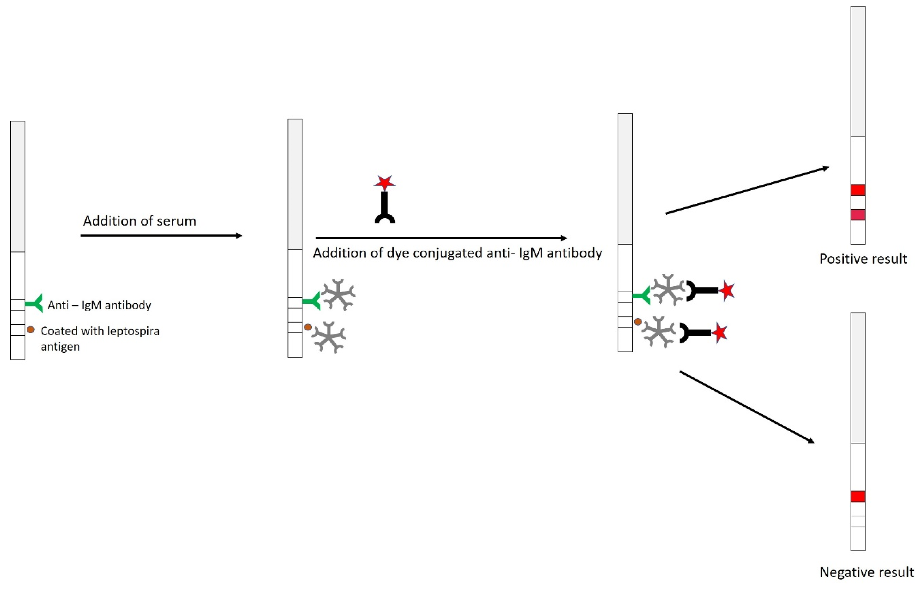 Pathogens 10 00145 g008 Pathogens 10 00145 g008