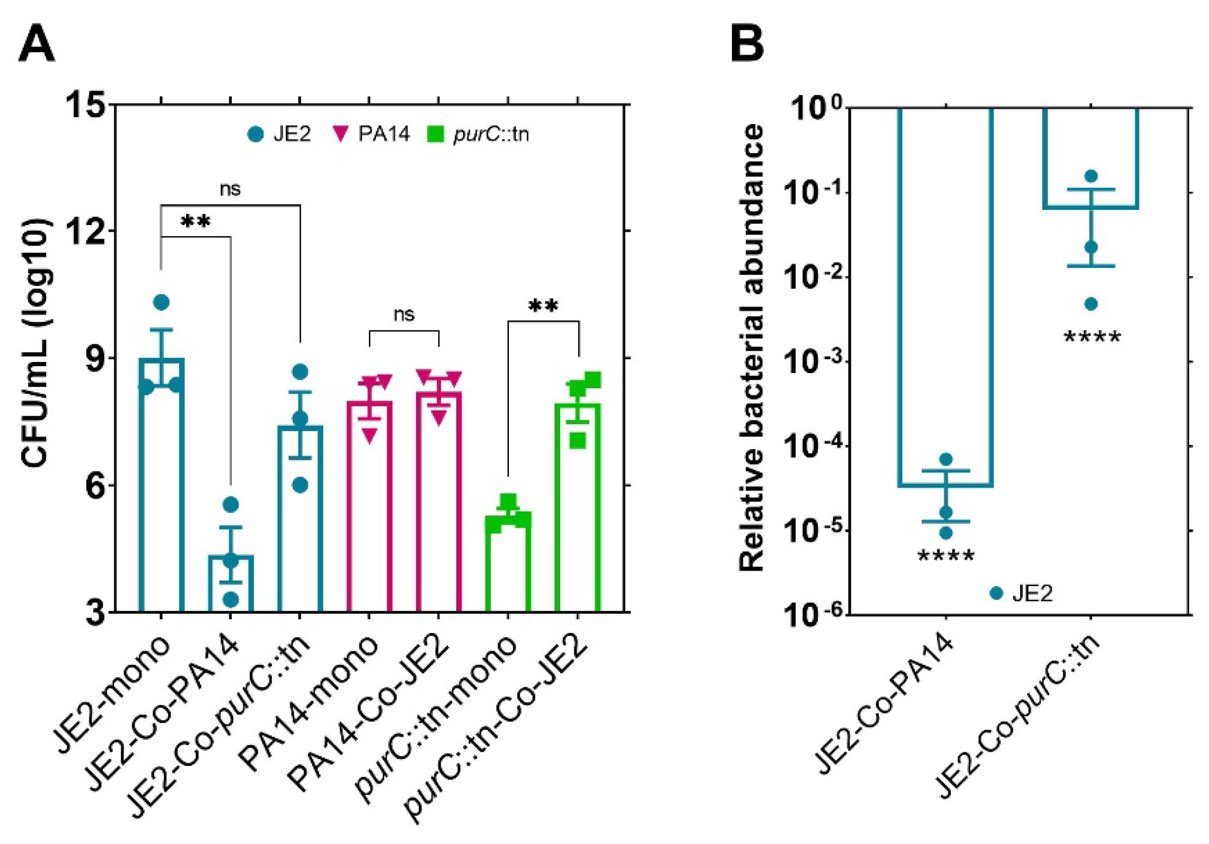 Pathogens 10 00146 g001