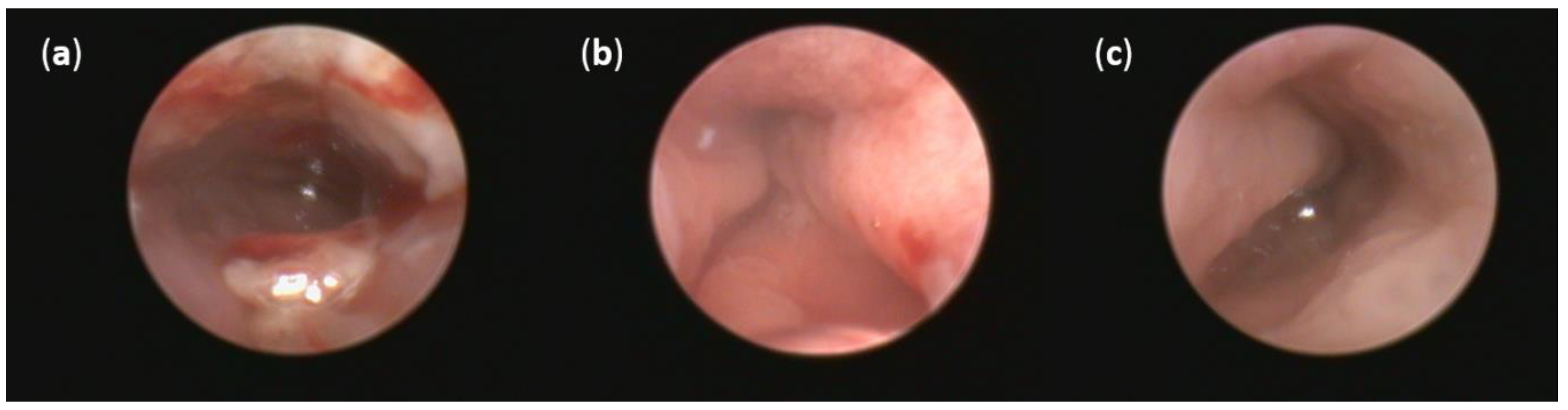 Pathogens 10 00152 g005
