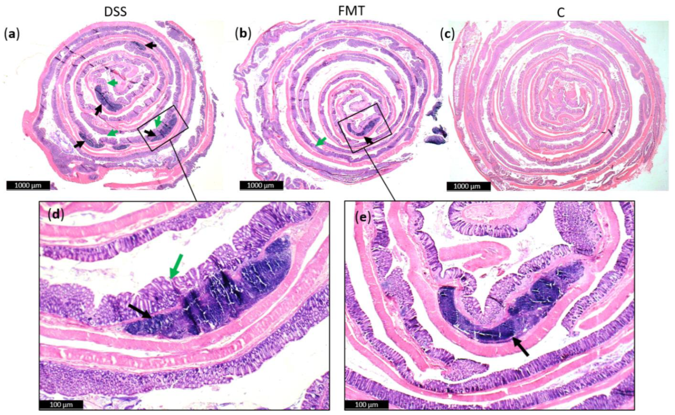 Pathogens 10 00152 g006