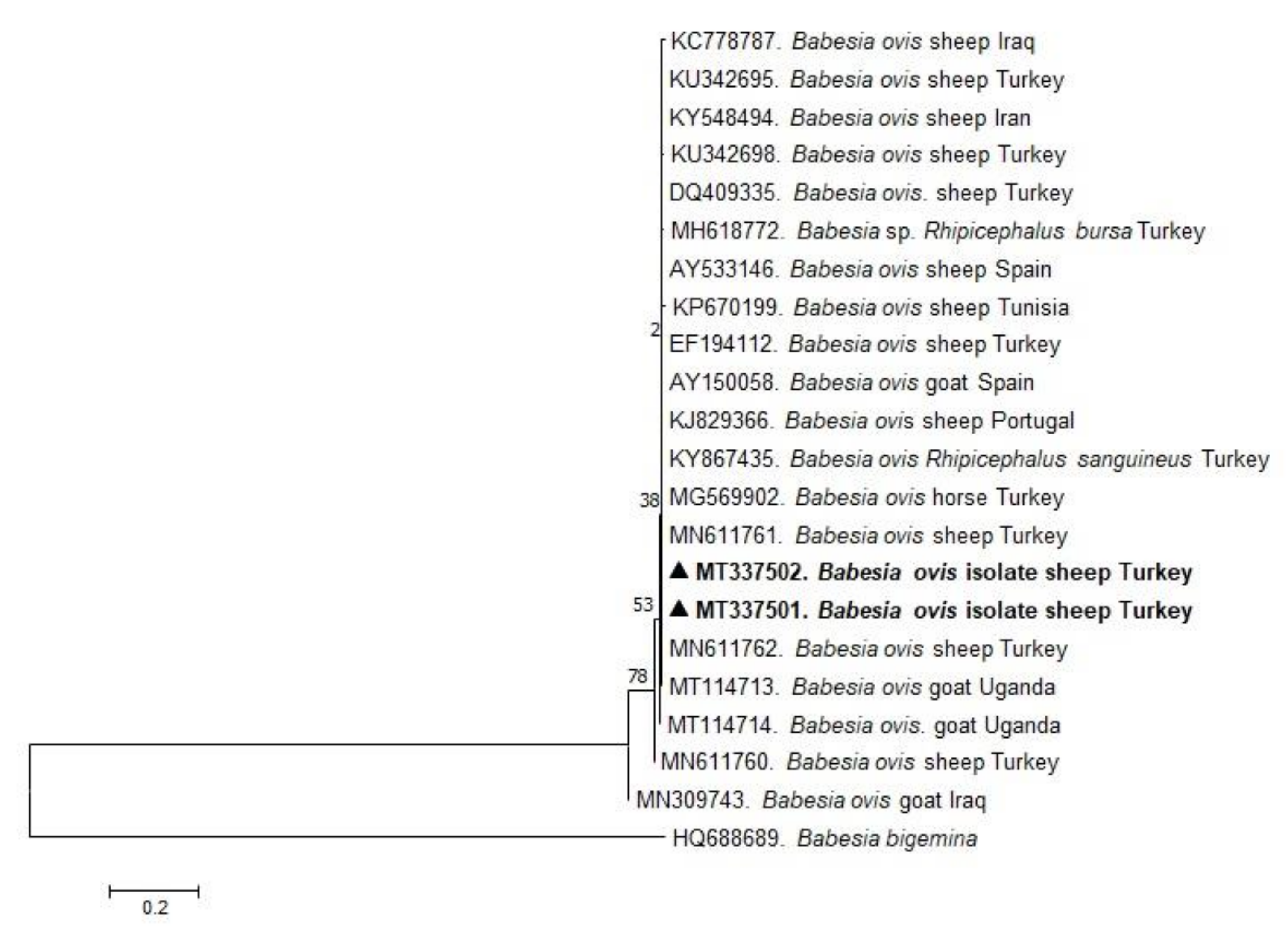 Pathogens 10 00162 g001