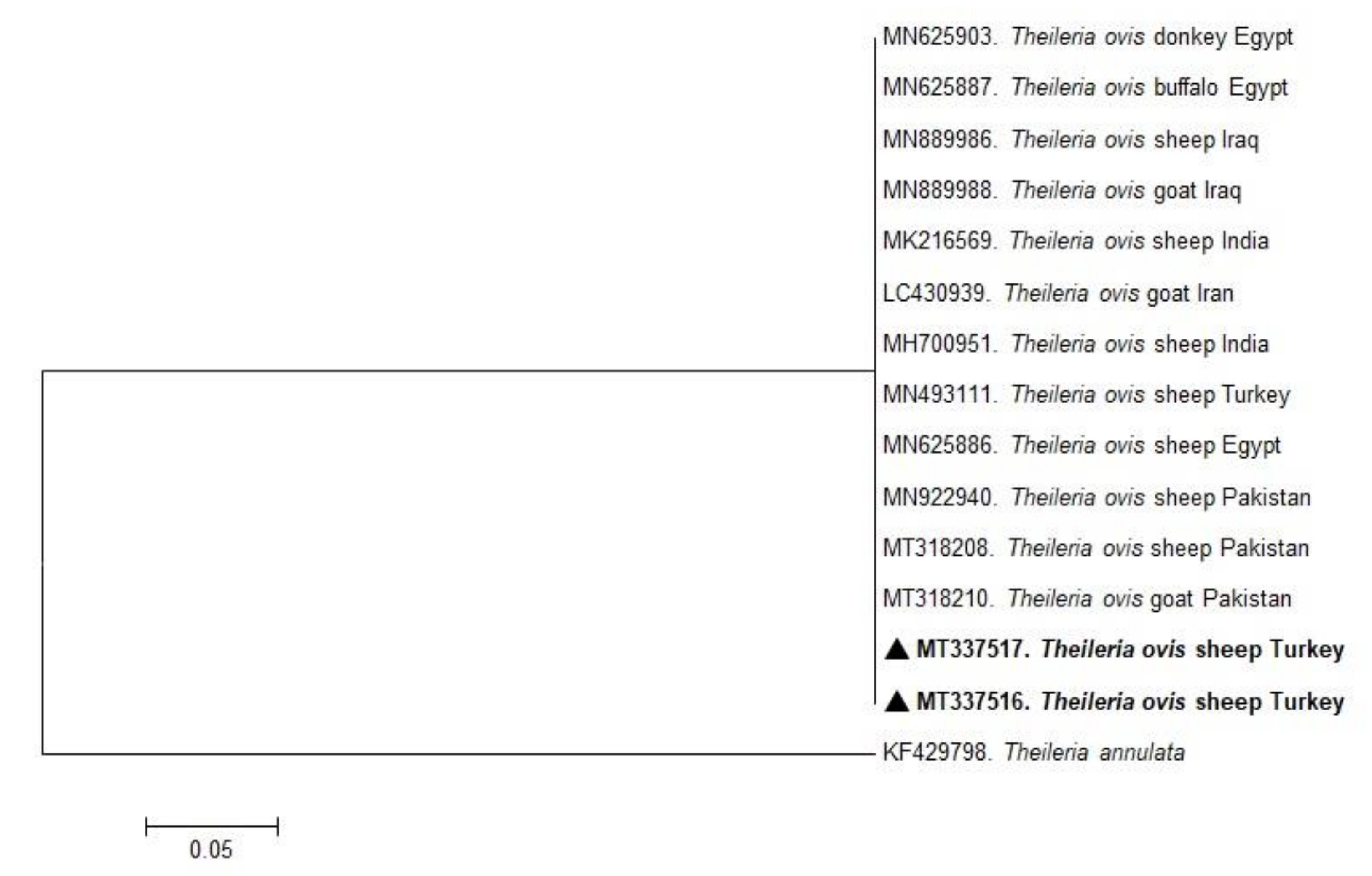 Pathogens 10 00162 g002