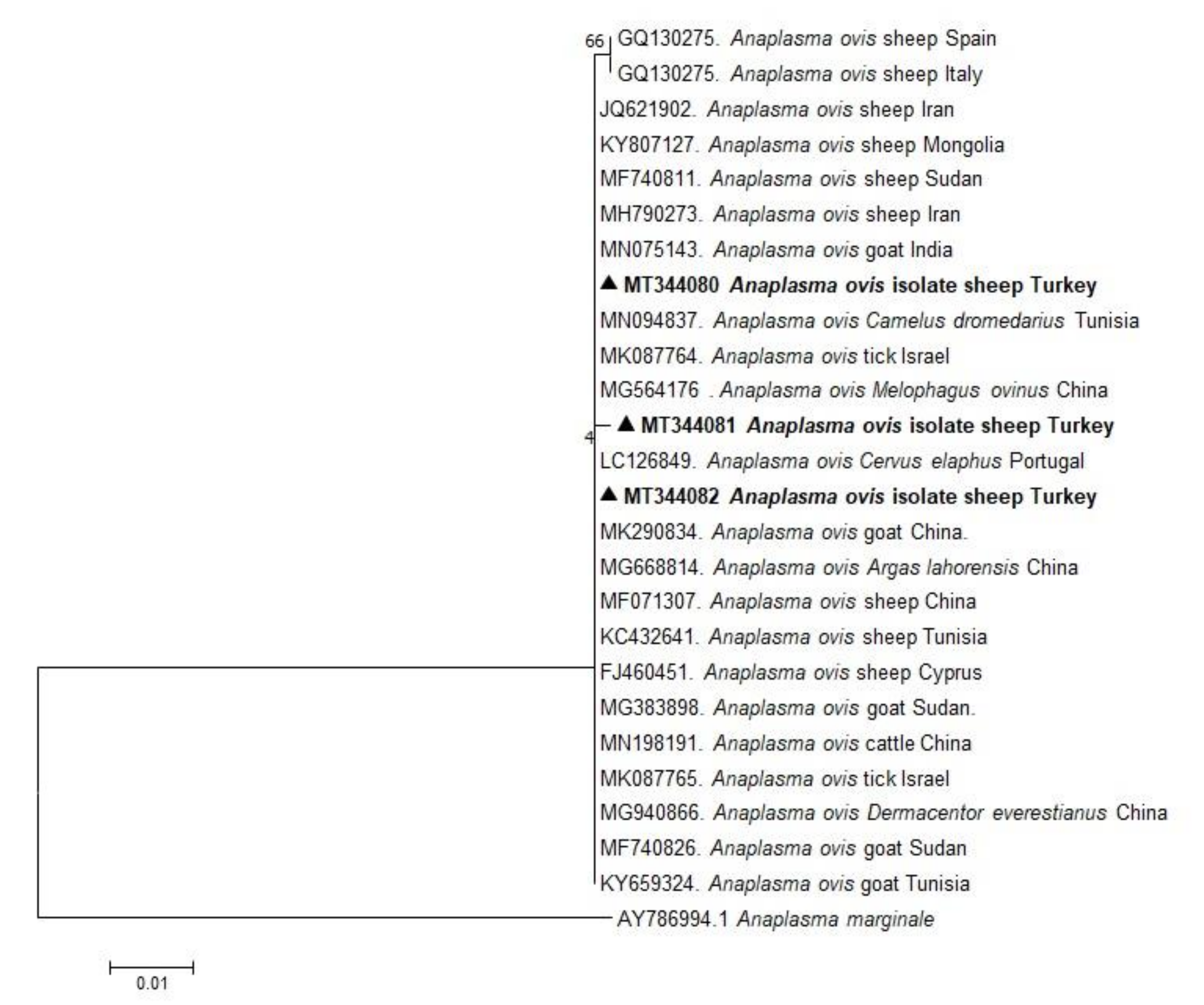 Pathogens 10 00162 g003
