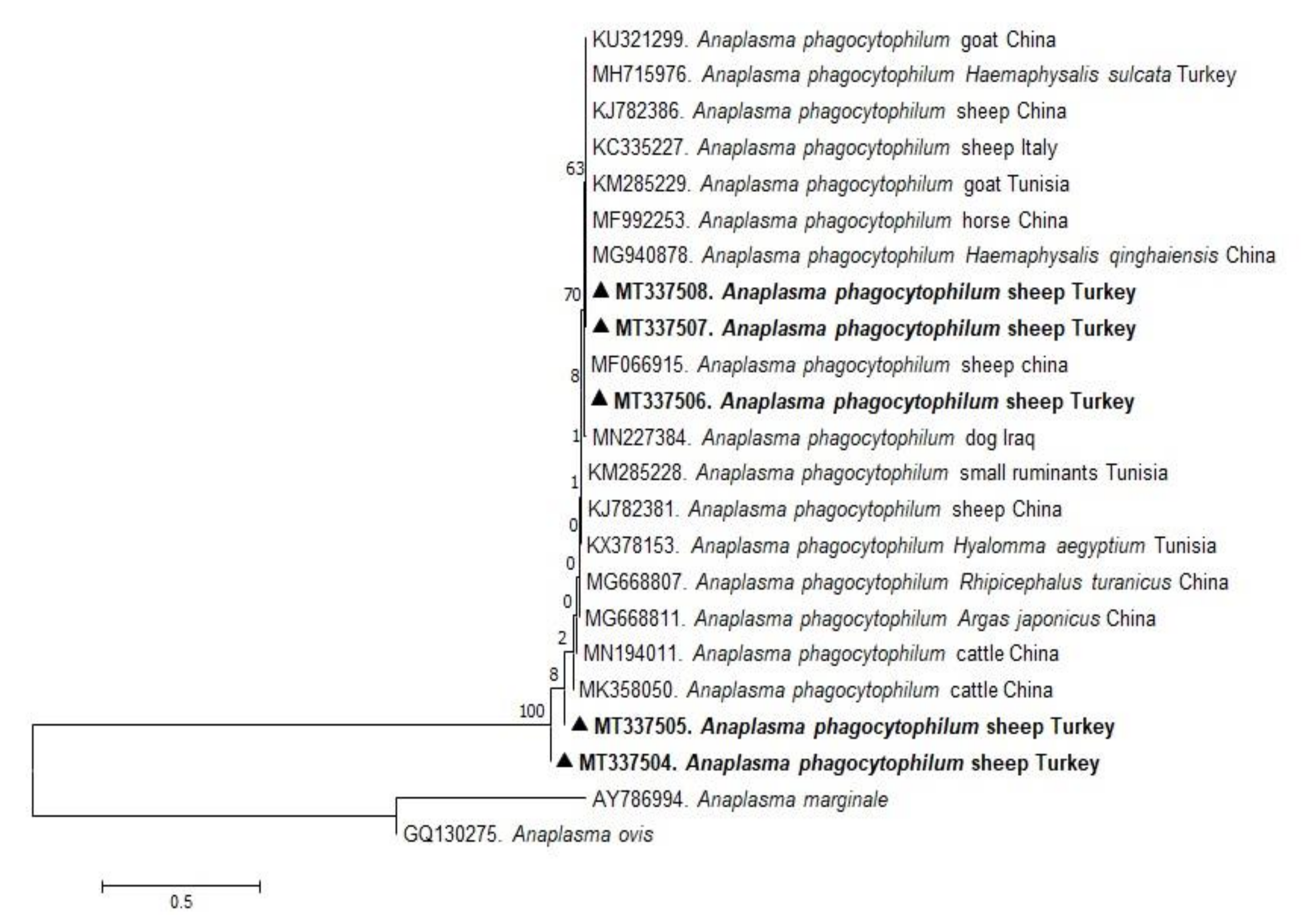 Pathogens 10 00162 g004