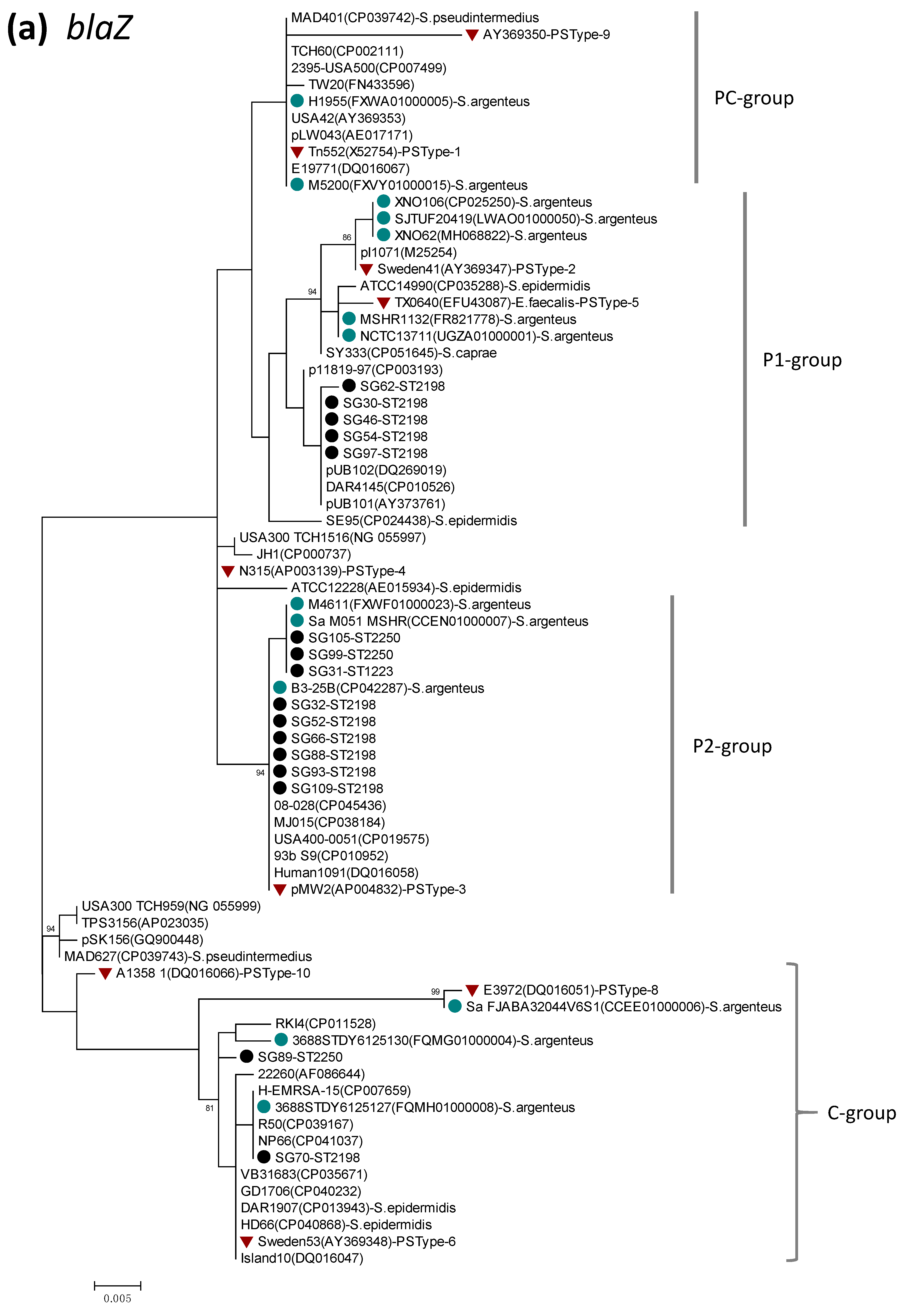 Pathogens 10 00163 g001a Pathogens 10 00163 g001a