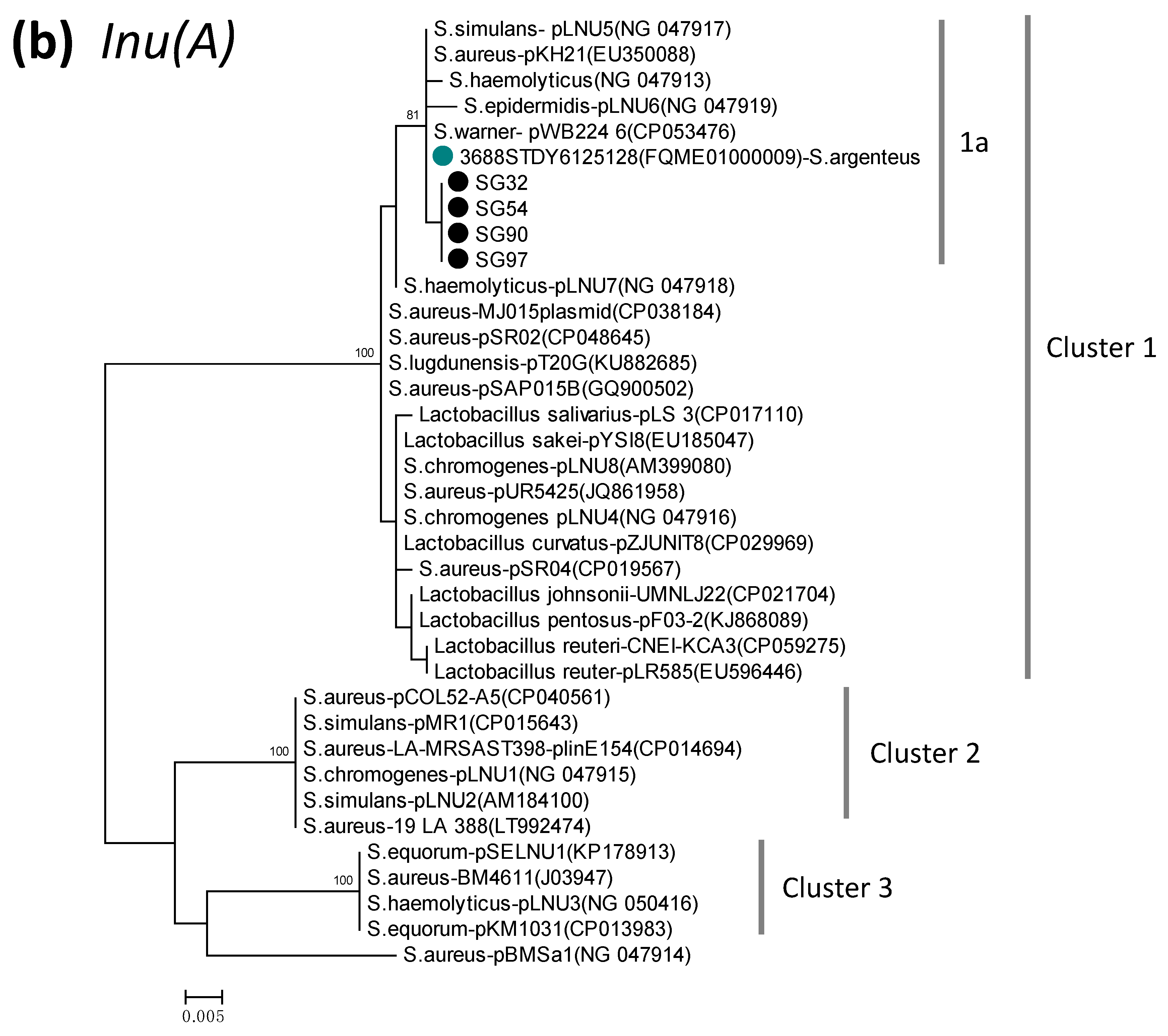 Pathogens 10 00163 g001b Pathogens 10 00163 g001b