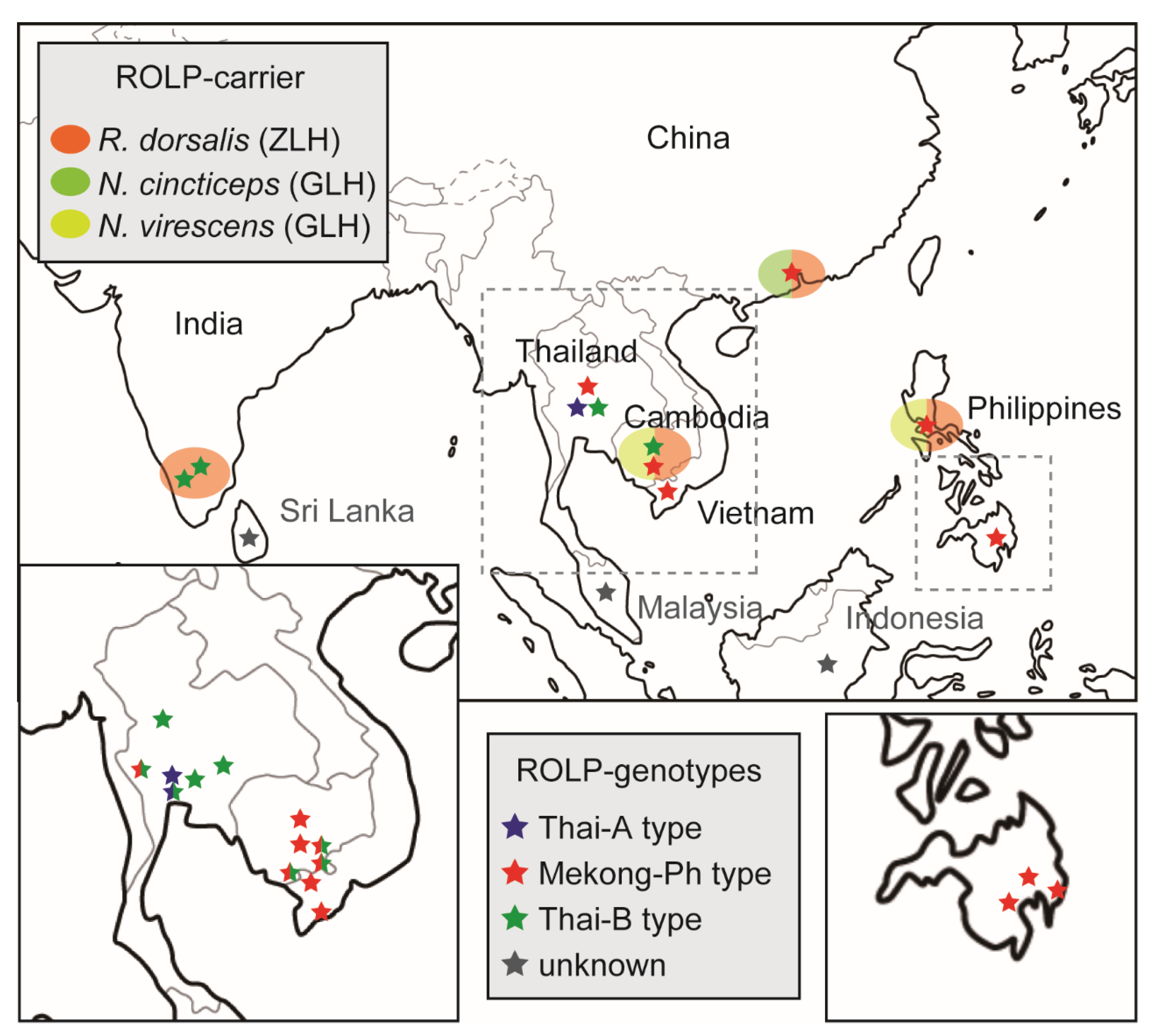 Pathogens 10 00169 g007 Pathogens 10 00169 g007