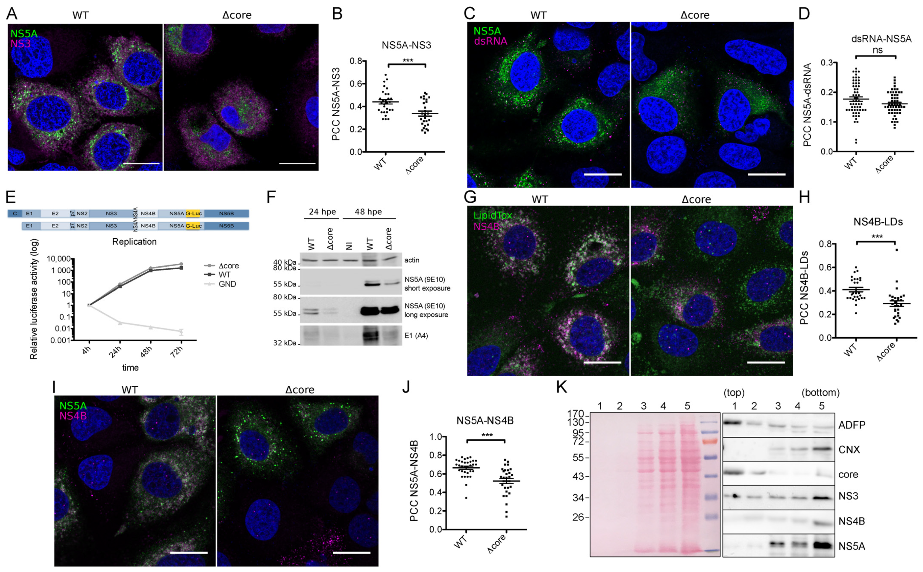 Pathogens 10 00172 g002