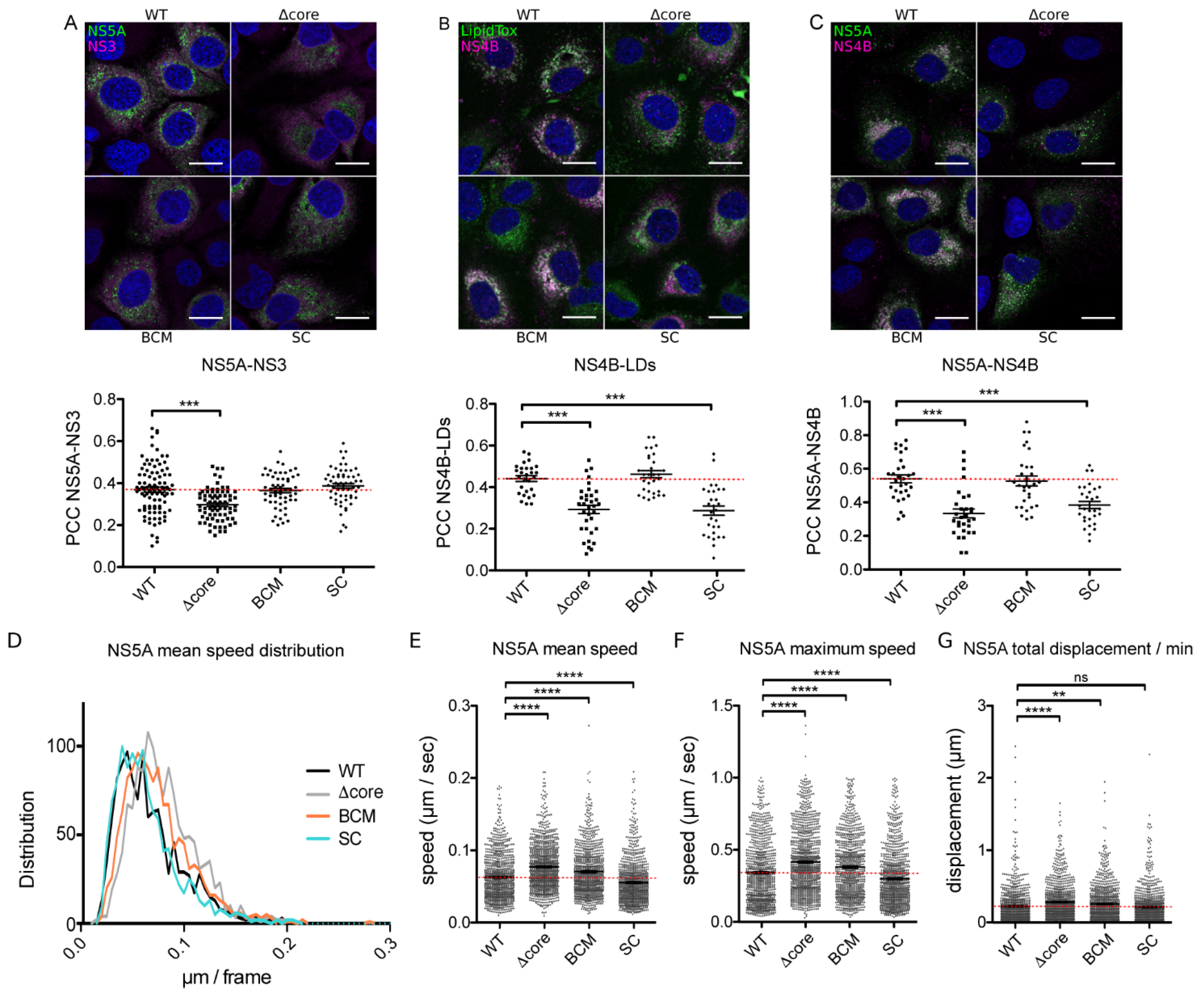 Pathogens 10 00172 g004