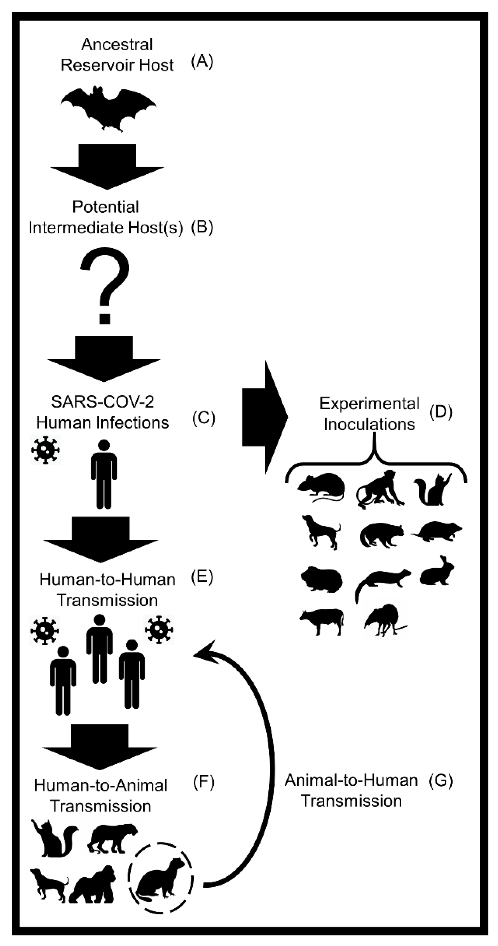 Pathogens 10 00180 g001