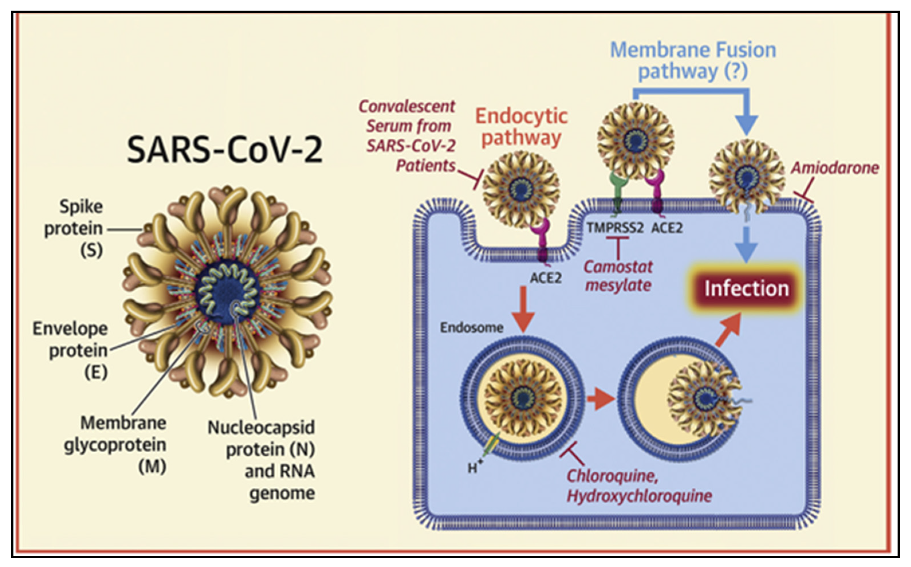 Pathogens 10 00180 g002
