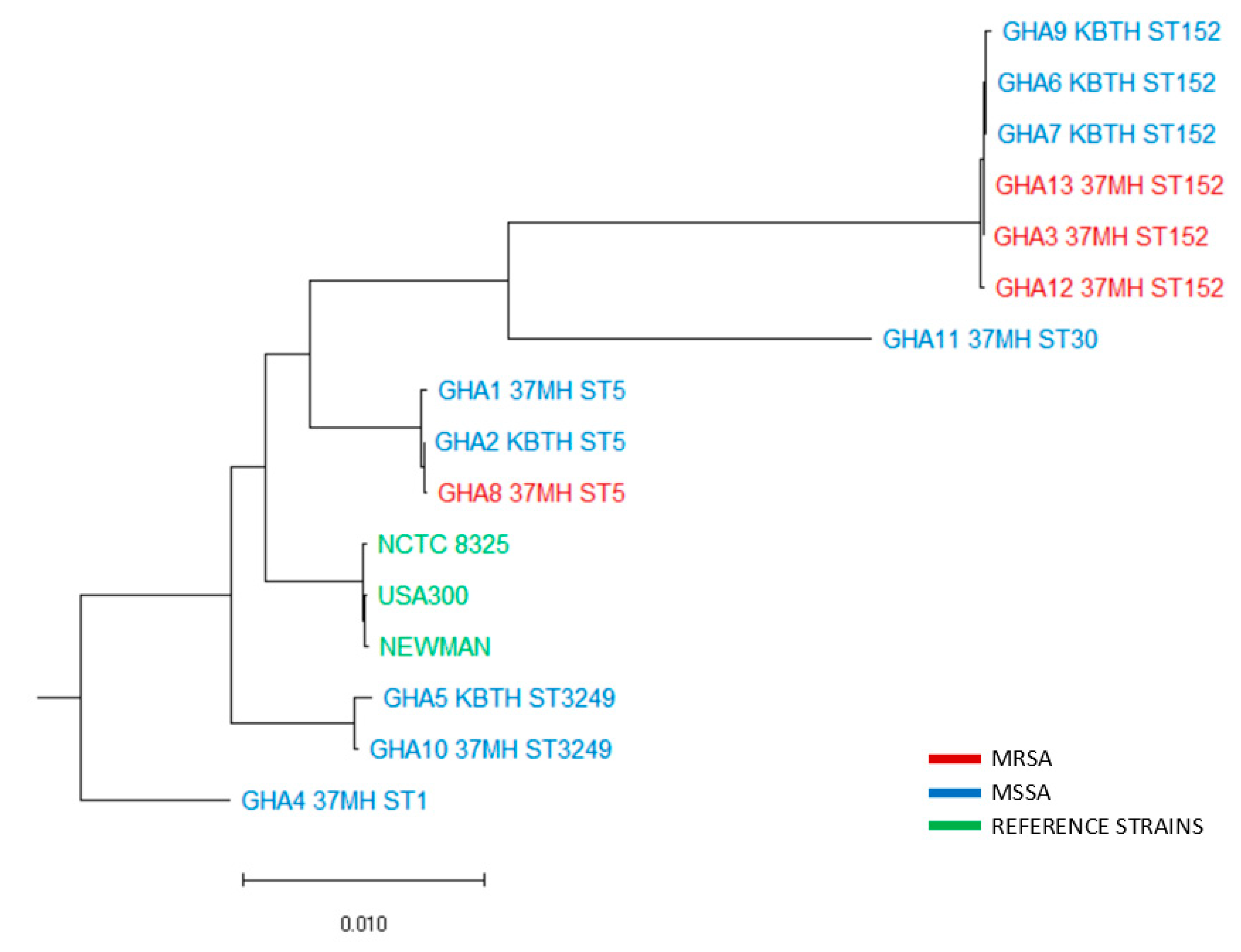 Pathogens 10 00196 g001