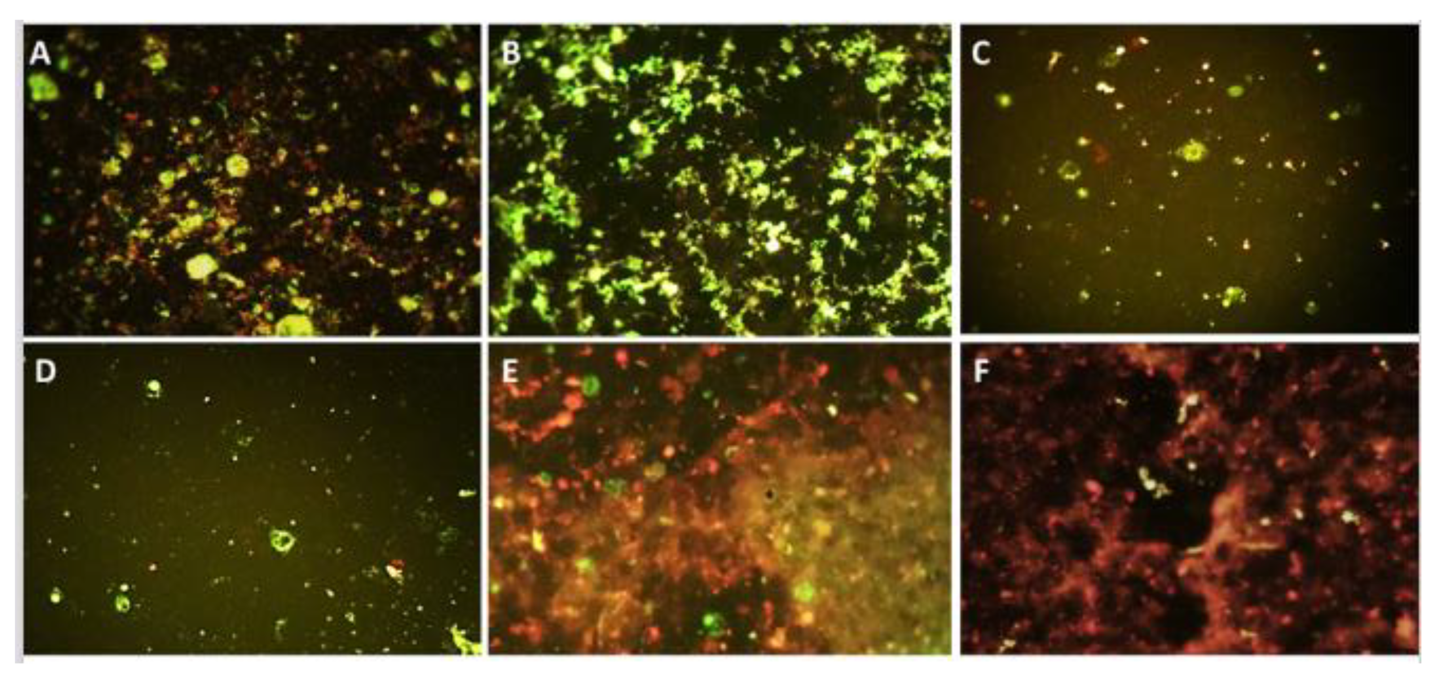 Pathogens 10 00197 g004