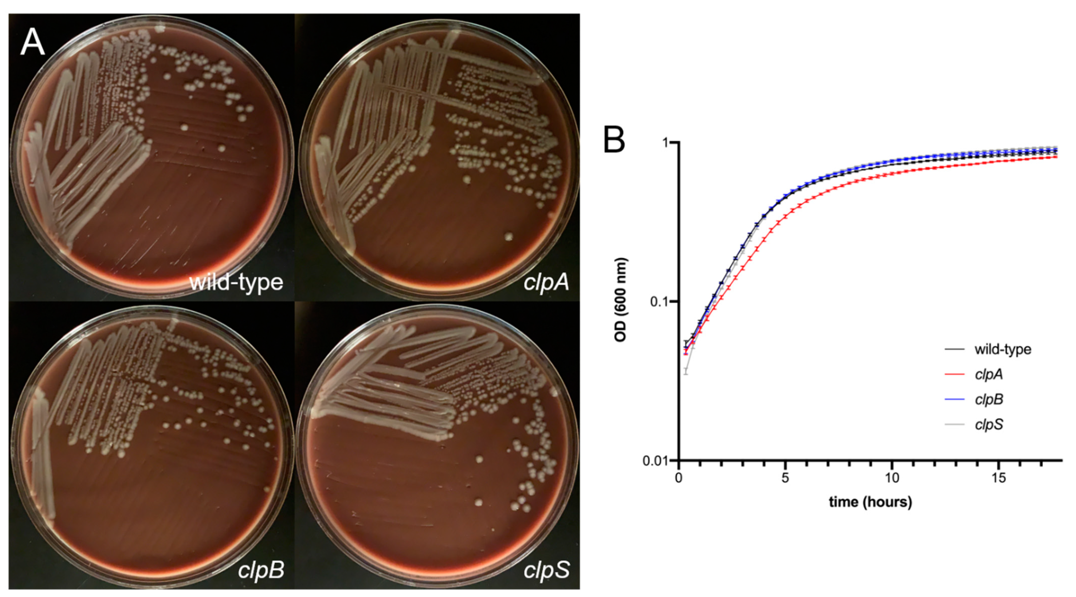 Pathogens 10 00204 g002 Pathogens 10 00204 g002