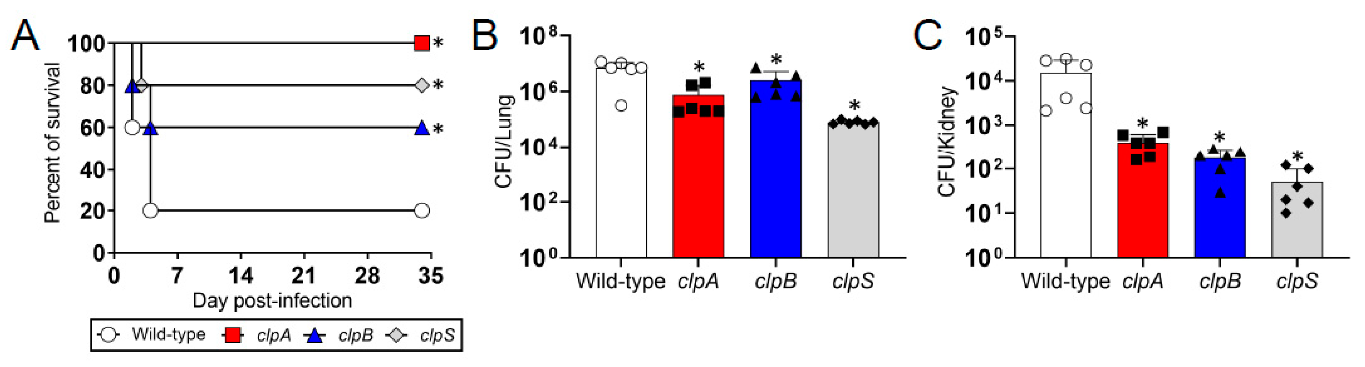 Pathogens 10 00204 g005 Pathogens 10 00204 g005