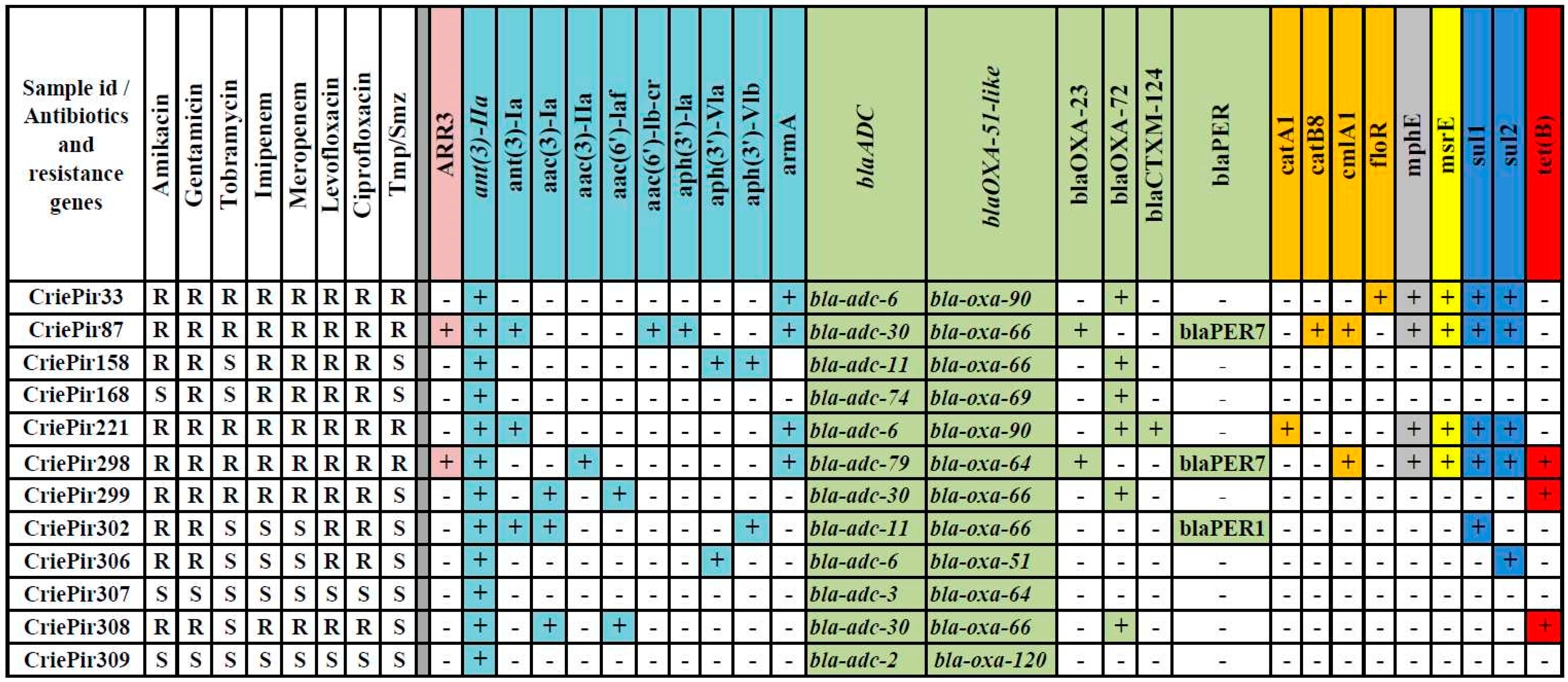Pathogens 10 00205 g001