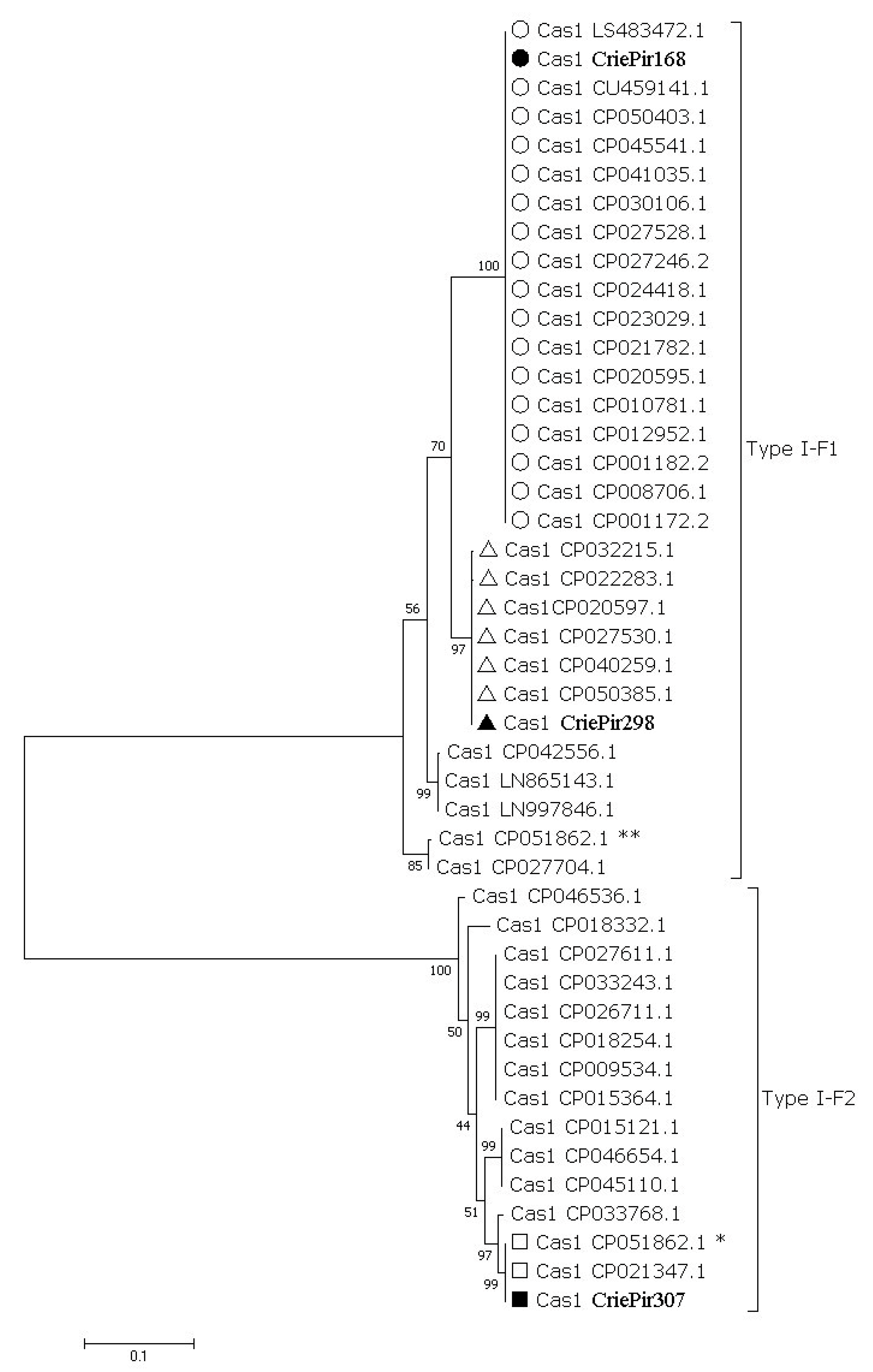 Pathogens 10 00205 g003