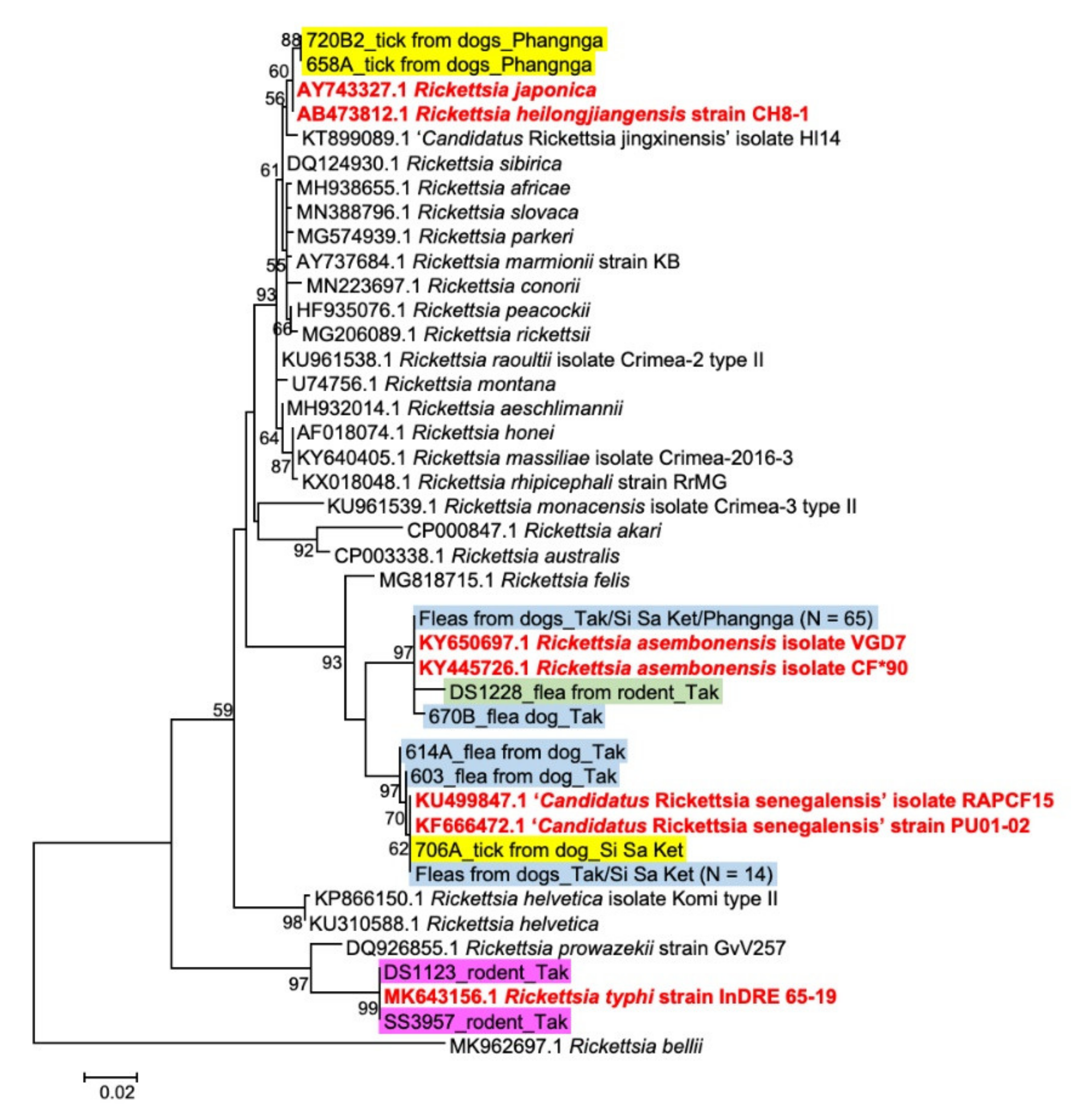 Pathogens 10 00215 g001 Pathogens 10 00215 g001