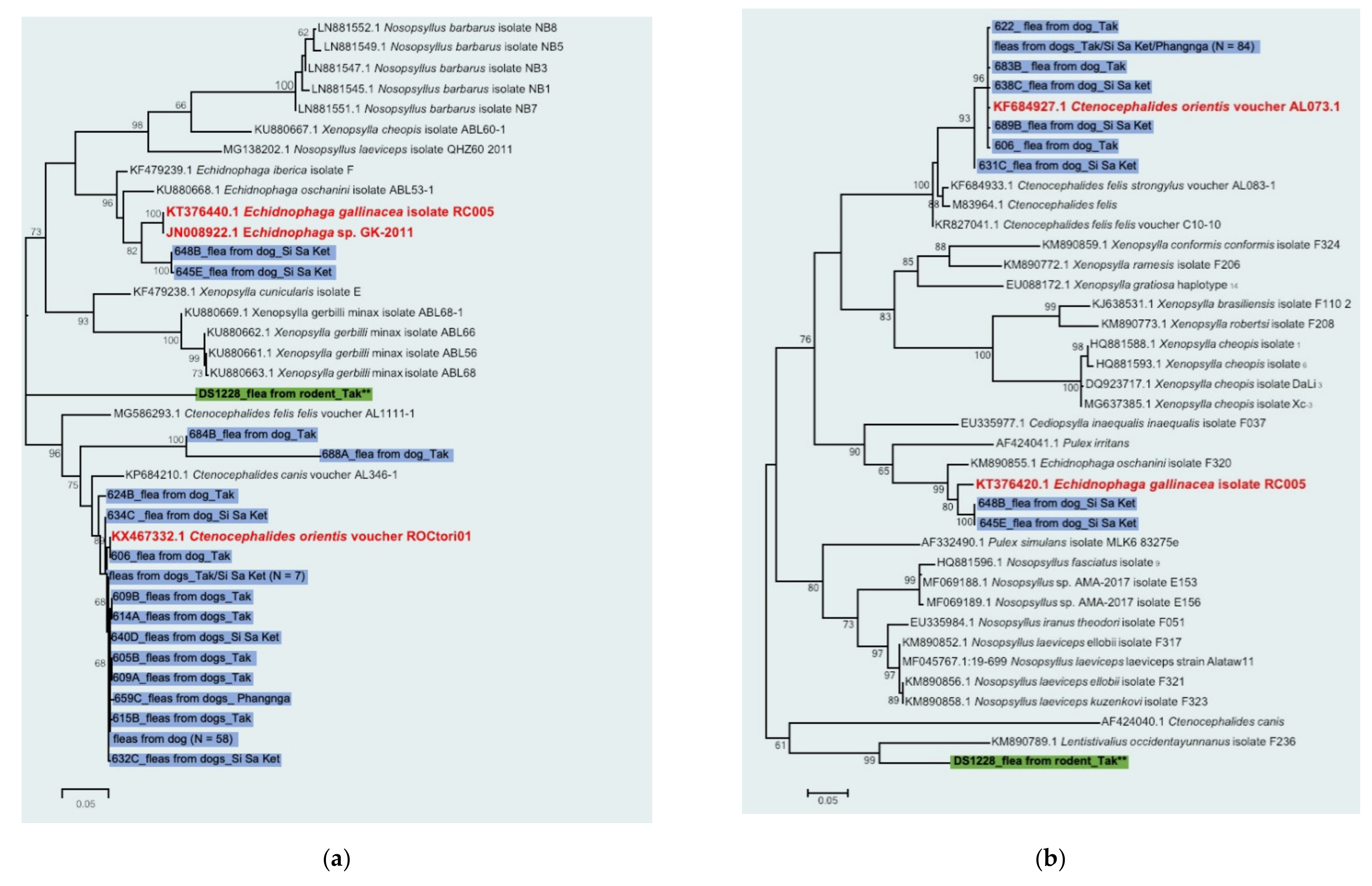 Pathogens 10 00215 g002 Pathogens 10 00215 g002
