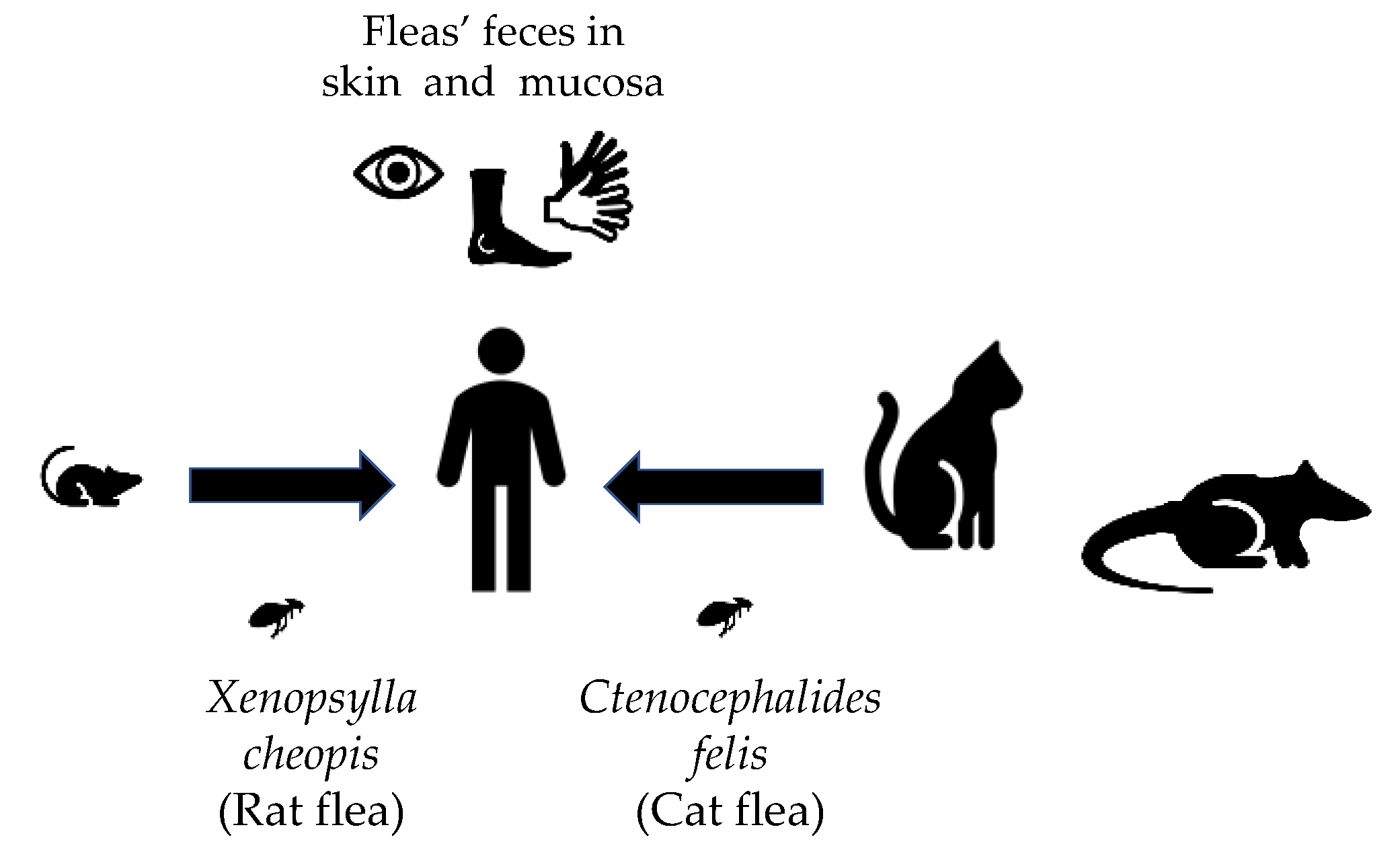 Pathogens 10 00219 g001 Pathogens 10 00219 g001