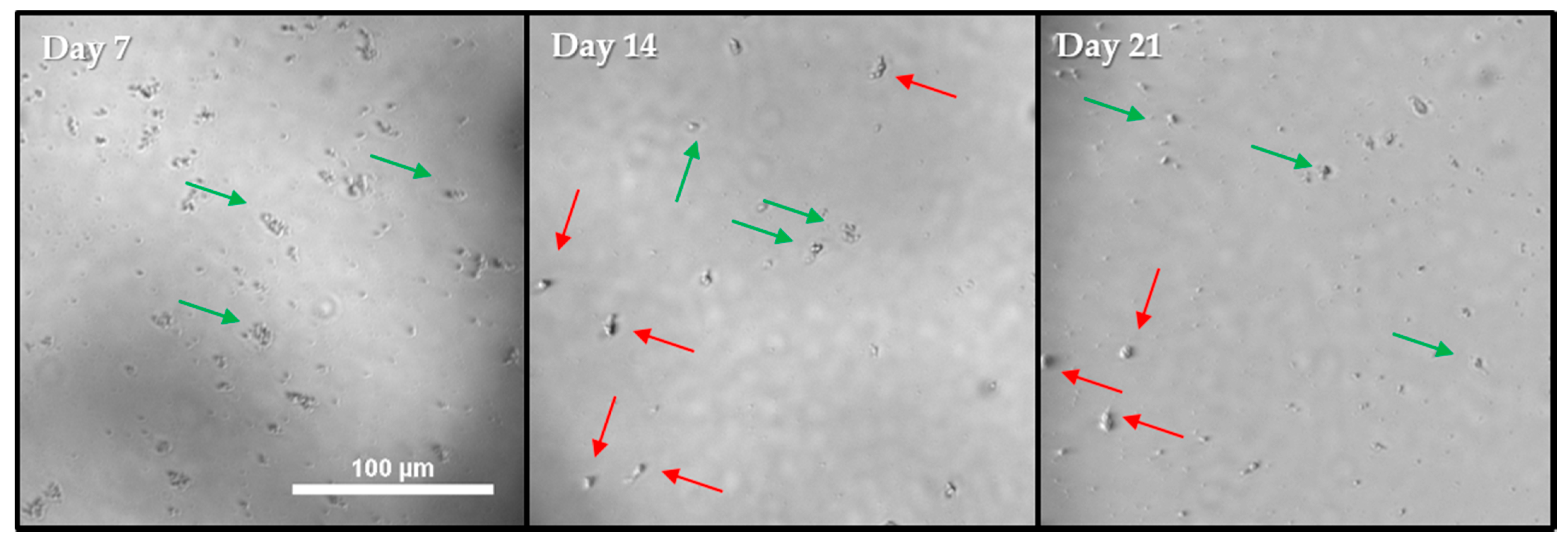 Pathogens 10 00221 g012