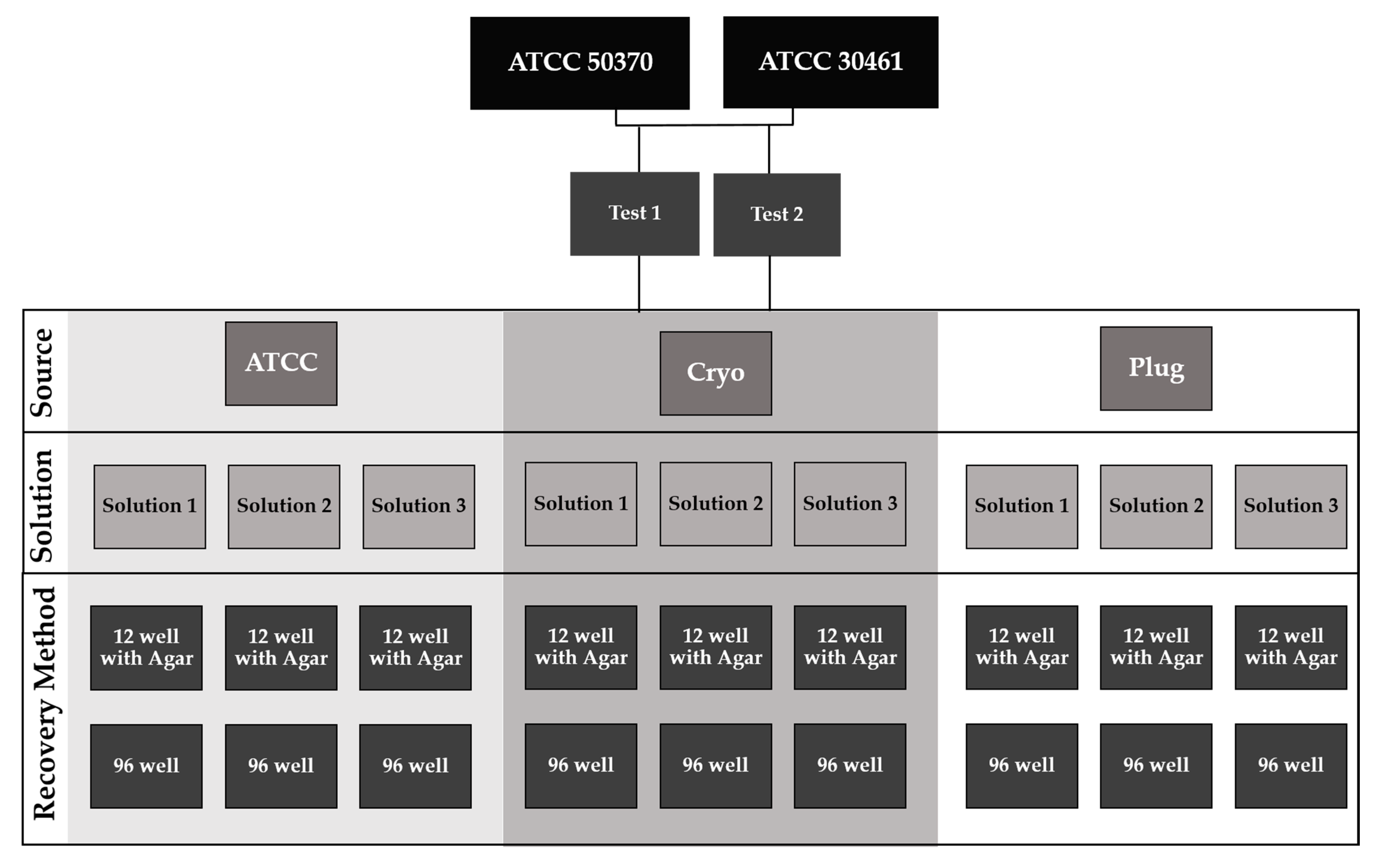 Pathogens 10 00221 g014