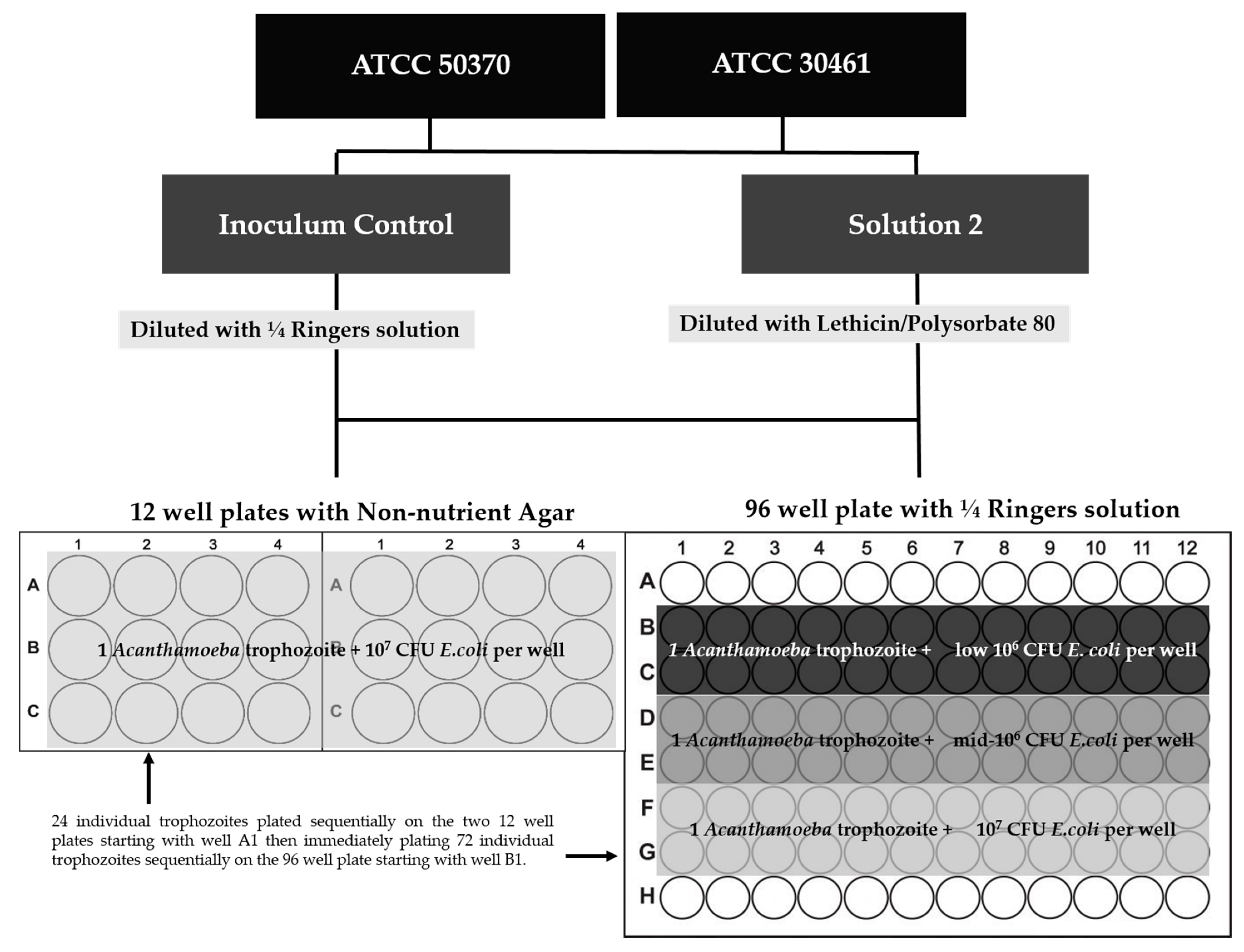 Pathogens 10 00221 g015
