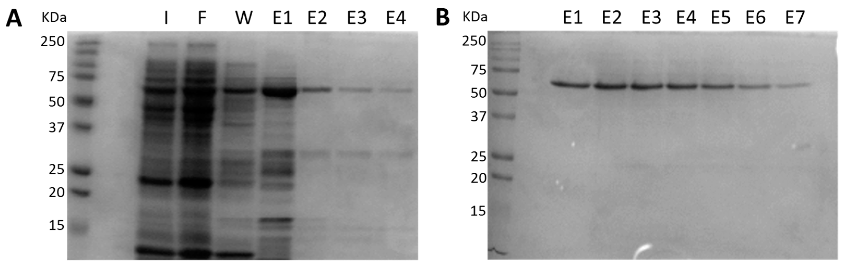 Pathogens 10 00226 g001