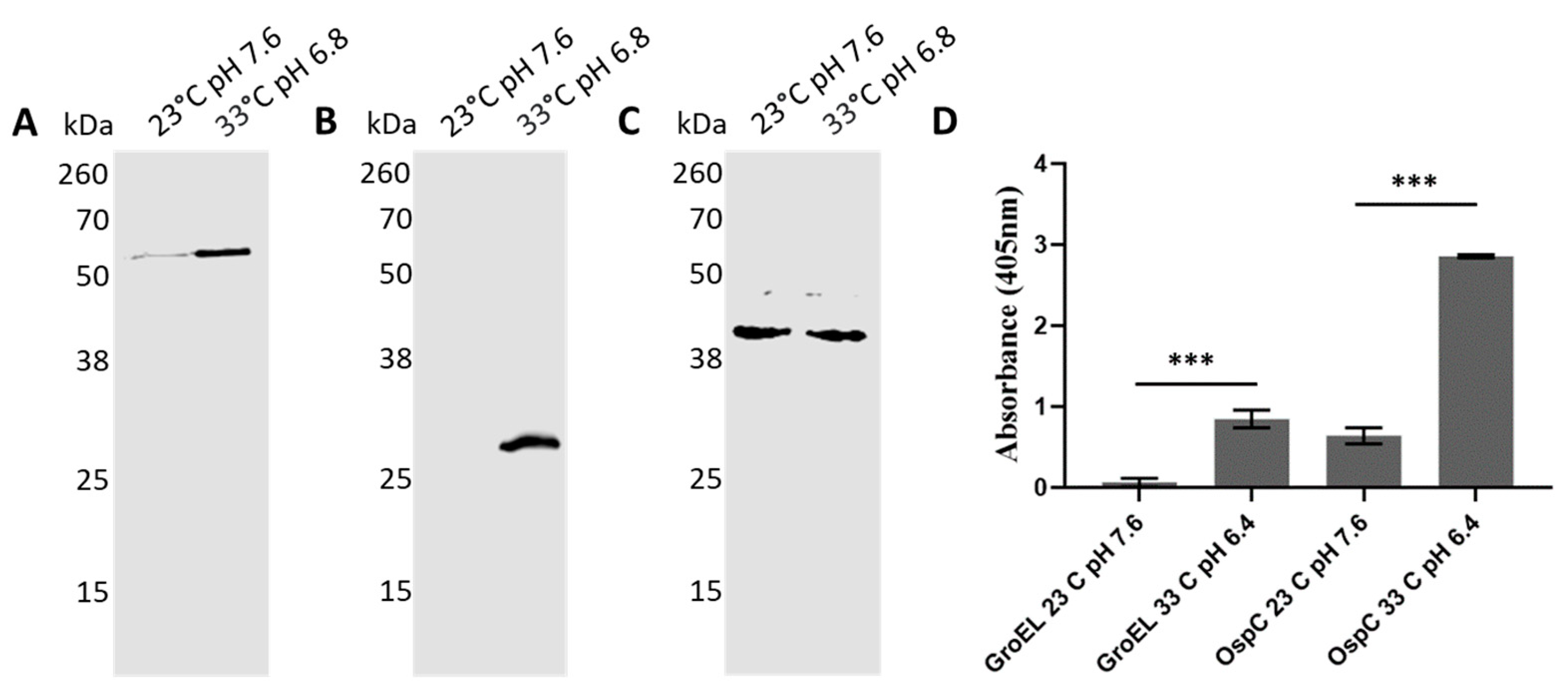 Pathogens 10 00226 g009